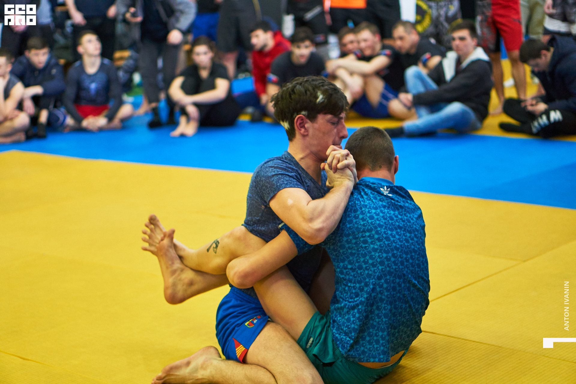 DSC08682 (Копировать).jpg