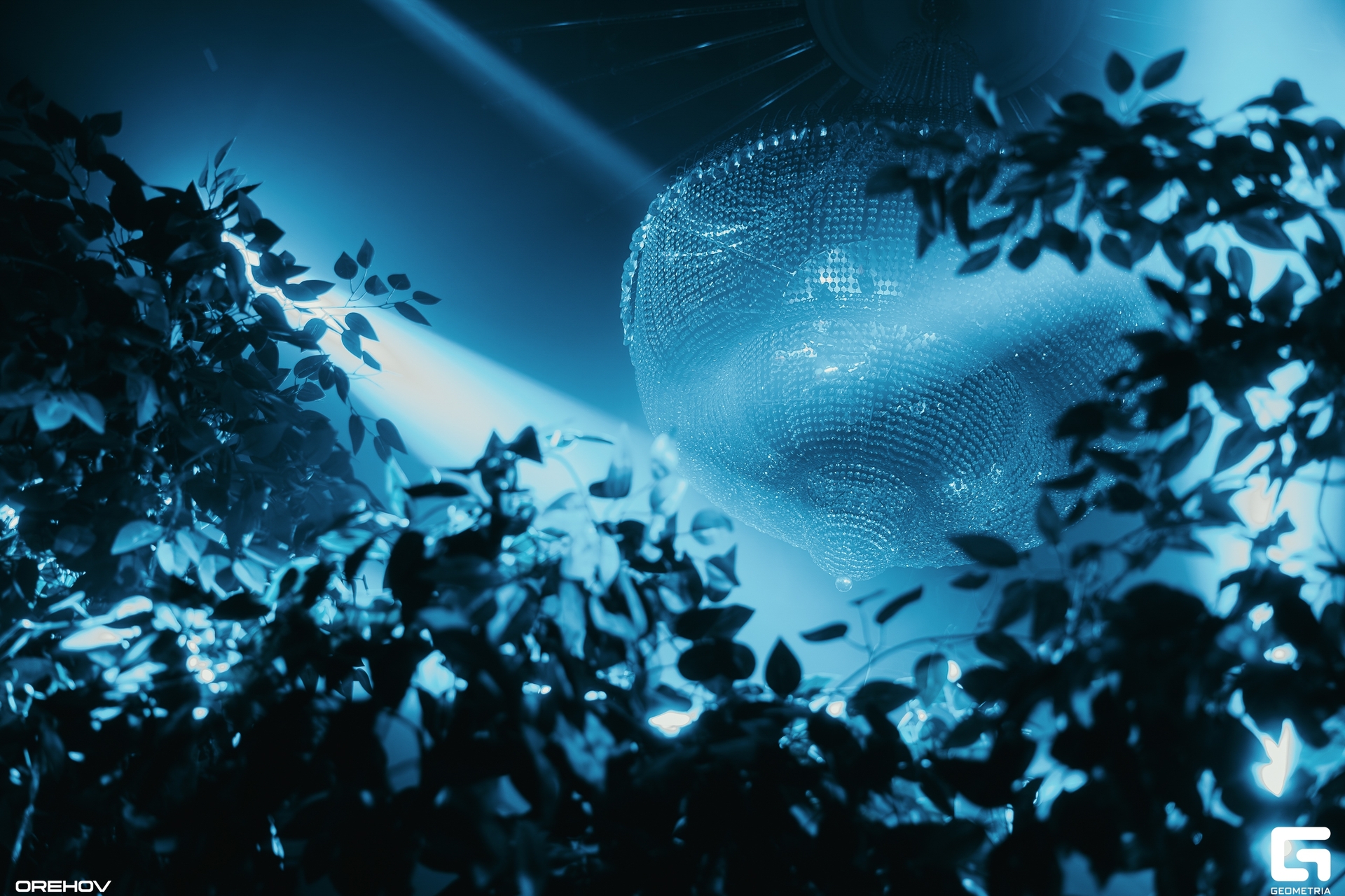 DSC00793-Улучшено-Ум. шума.jpg