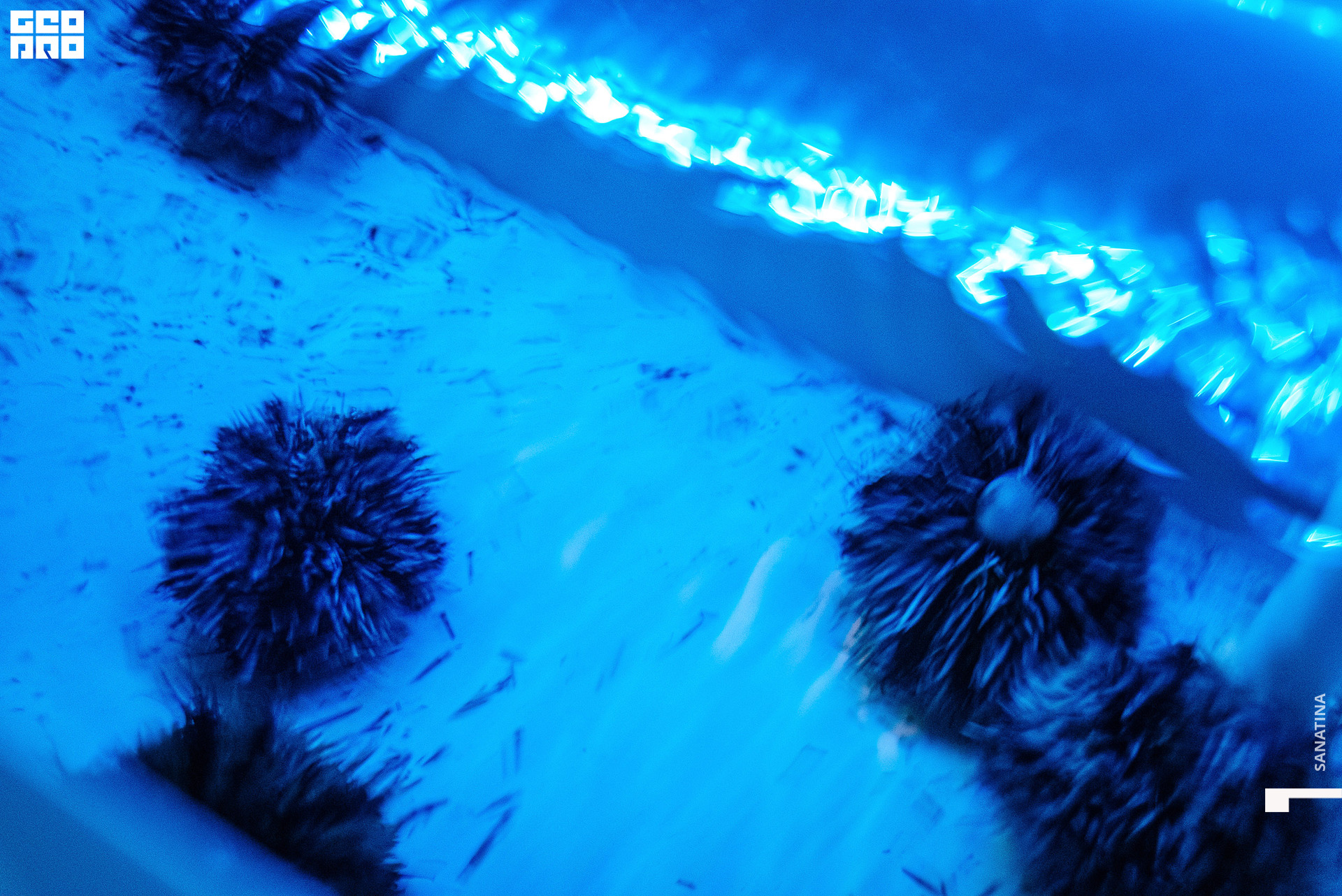 0049_2021-04-03_20-29-10 - Sanatina.jpg