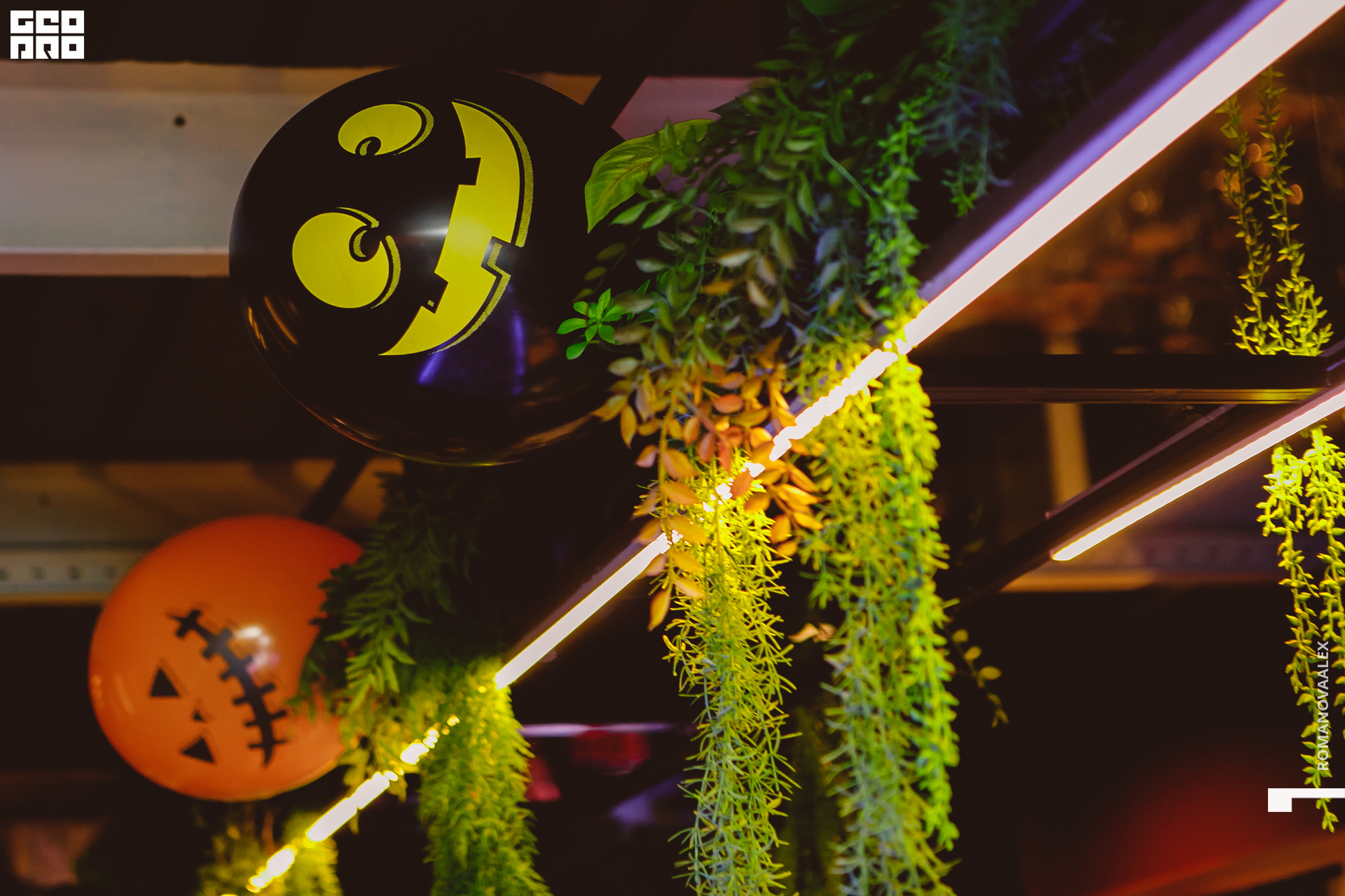 071 311022  014051 @romanovaalex.jpg