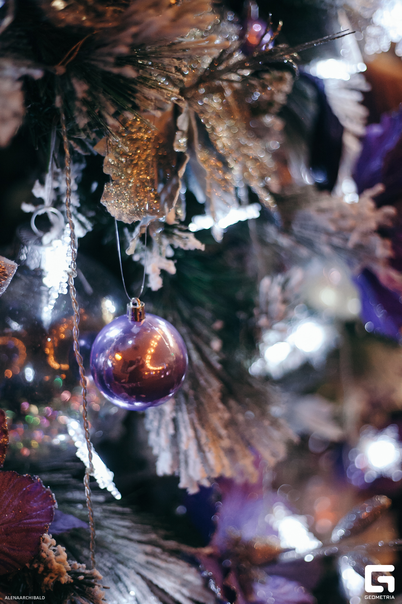 2023-12-22 19-30-57_alenaarchibald084.JPG