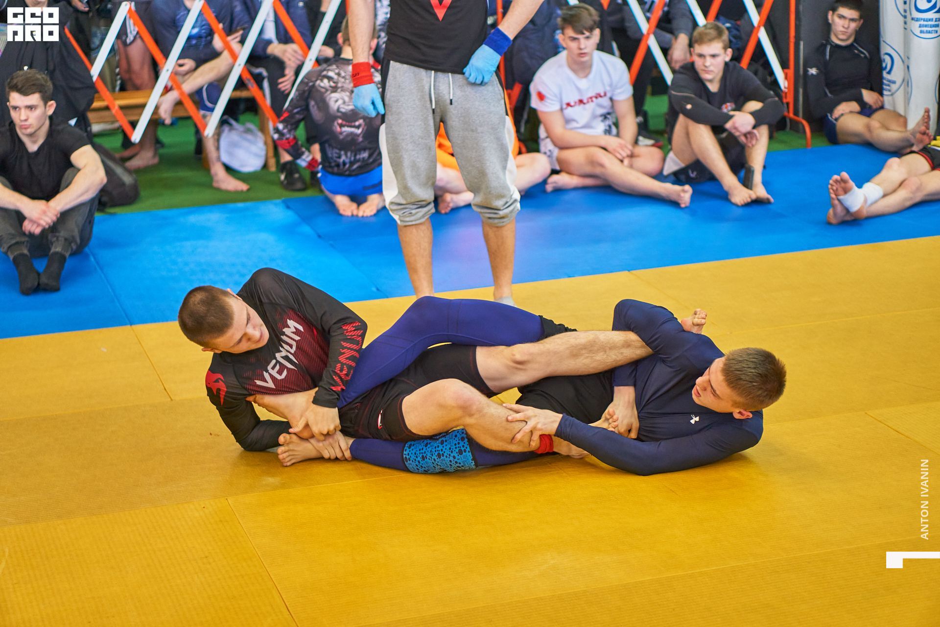 DSC08603 (Копировать).jpg