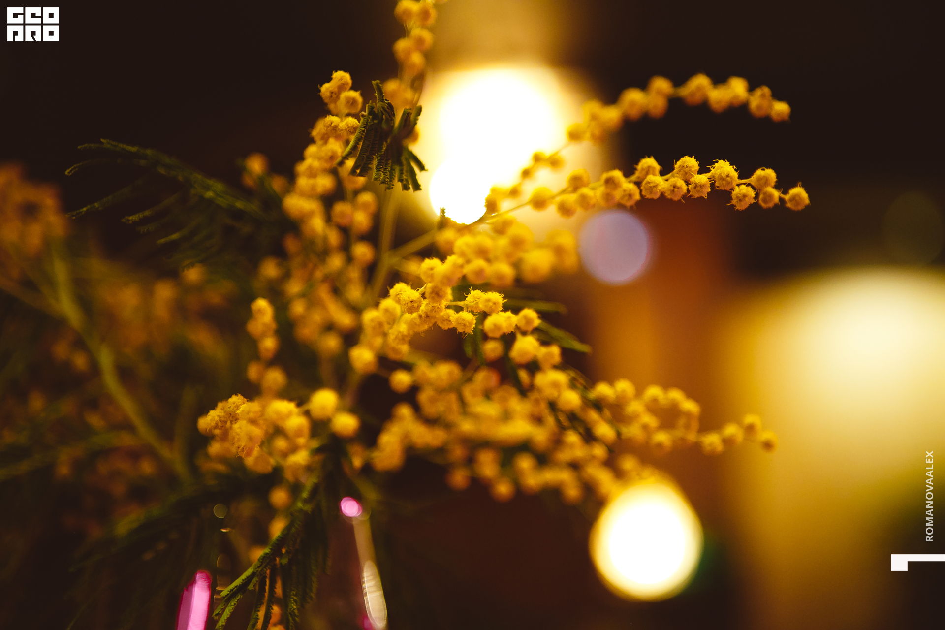 005 080322 212355 .jpg