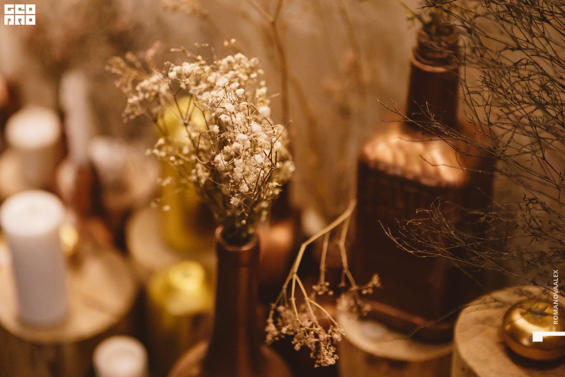 055  ale_romanova.jpg