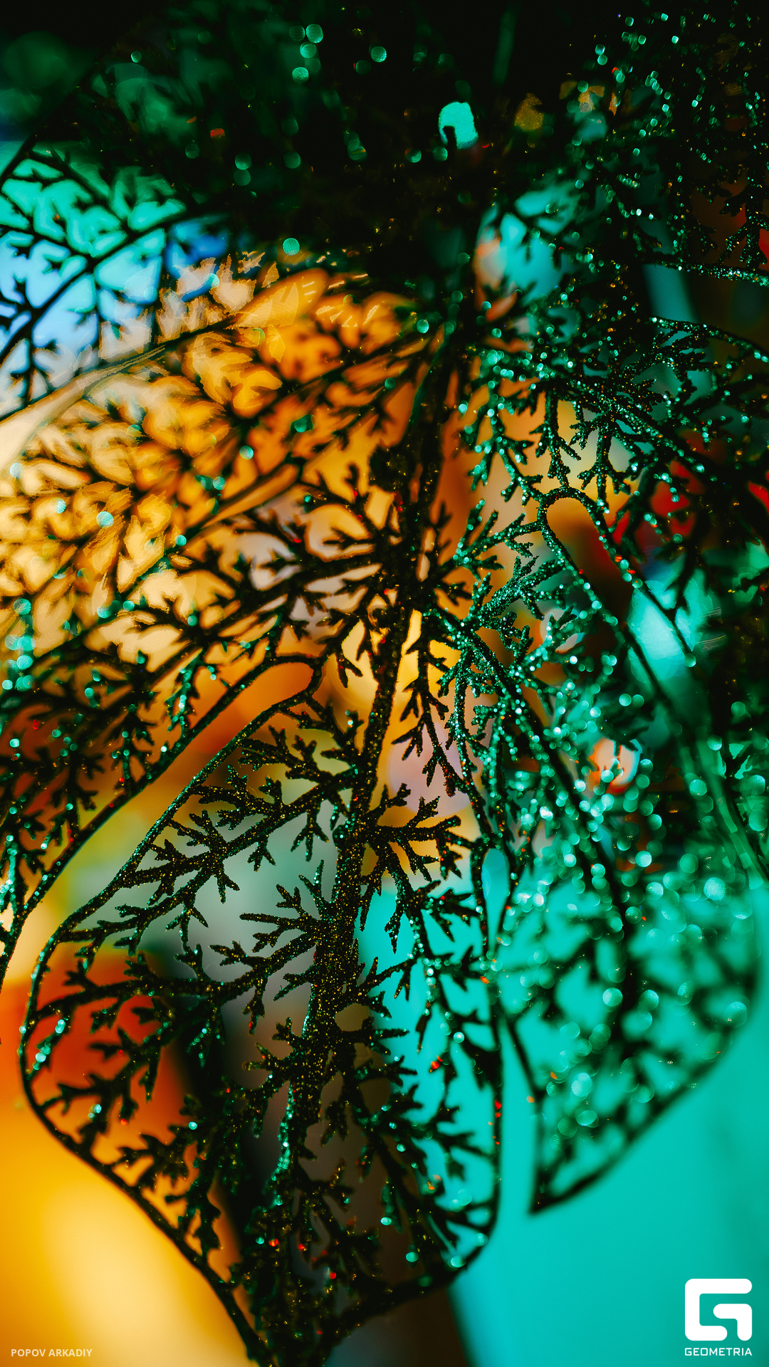 IMG_1940-Улучшено-Ум. шума.jpg