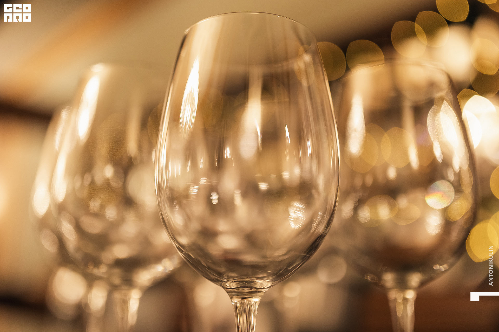 untitled shoot-8170.jpg