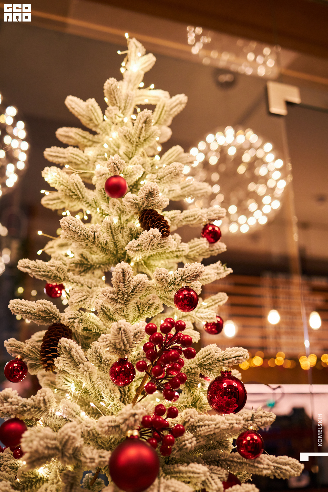 046-2022_12_02-19-35-55 - Komelskih.jpg