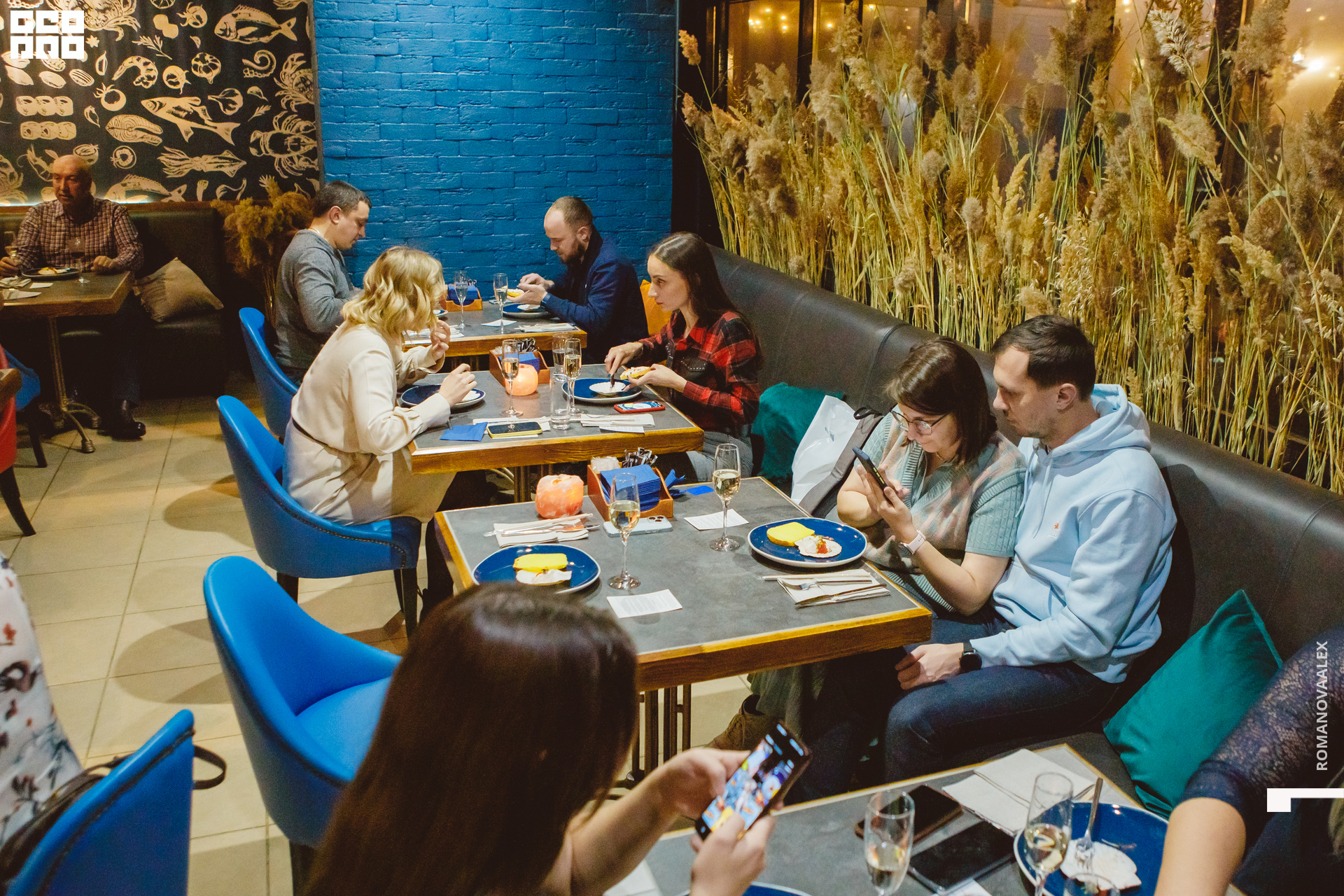 045 201122  195243 @romanovaalex.jpg