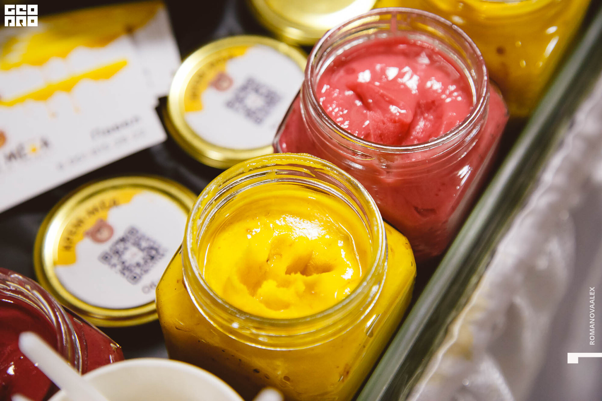 240 211127  110328 _ale_romanova.jpg