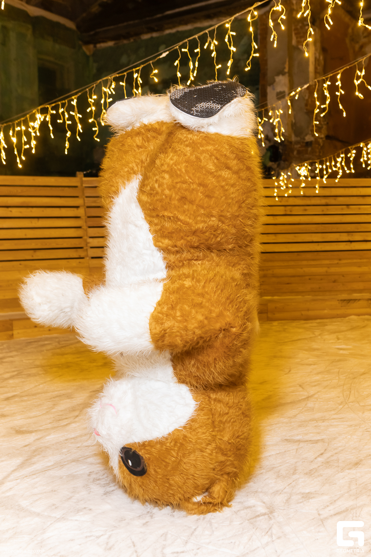 2023.12.27 Каток 064.jpg