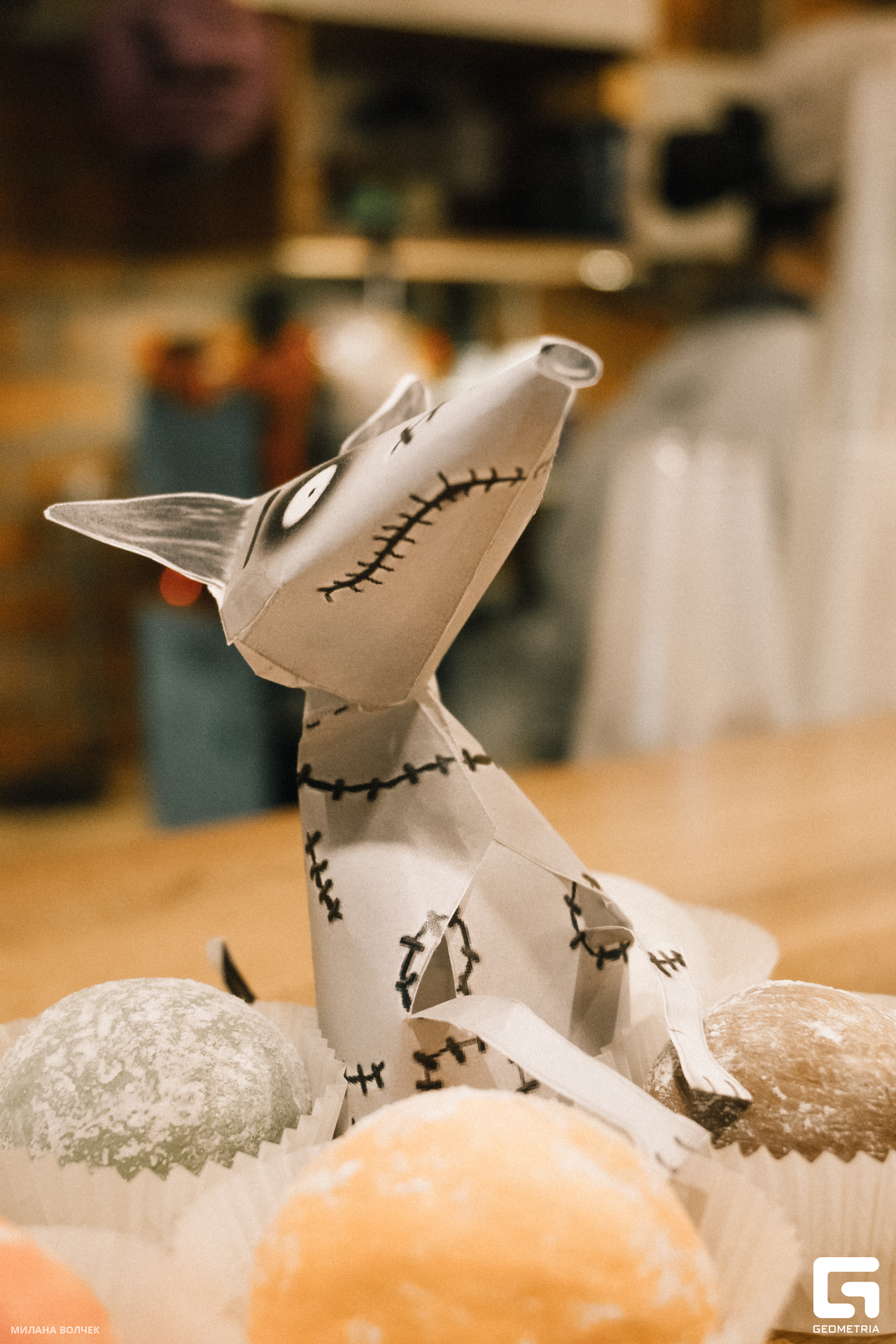 068_20231028 Волчек.jpg