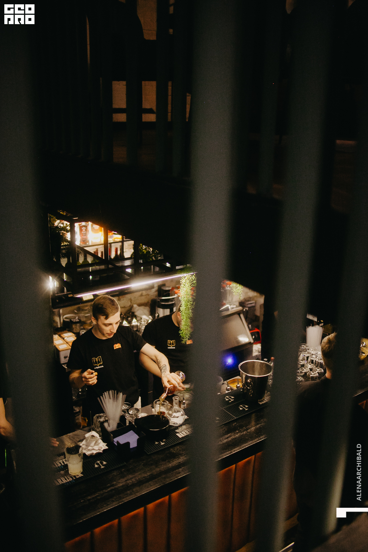 2022-11-18 20-00-27_alenaarchibald104.JPG