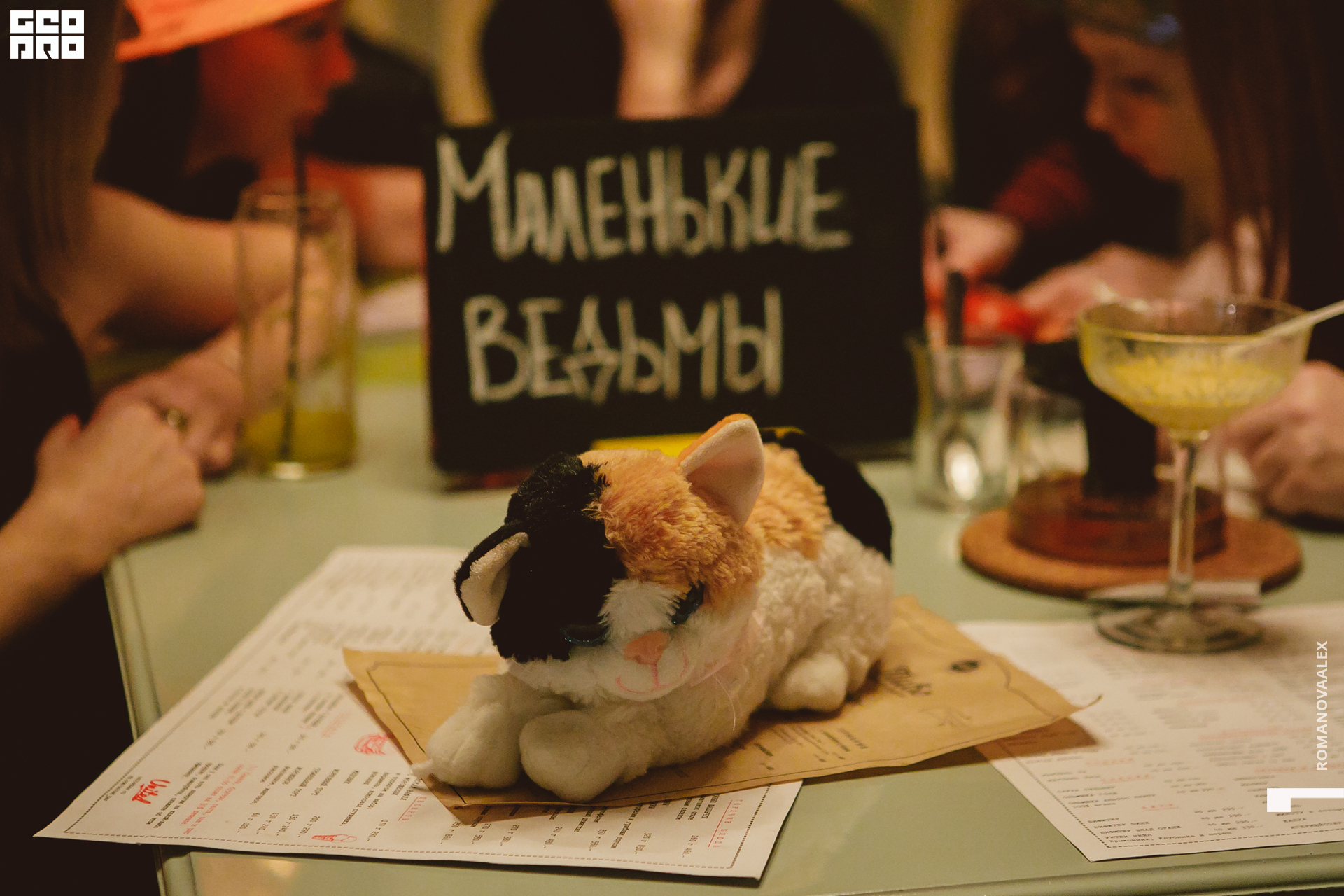 105 311022  231124 @romanovaalex.jpg