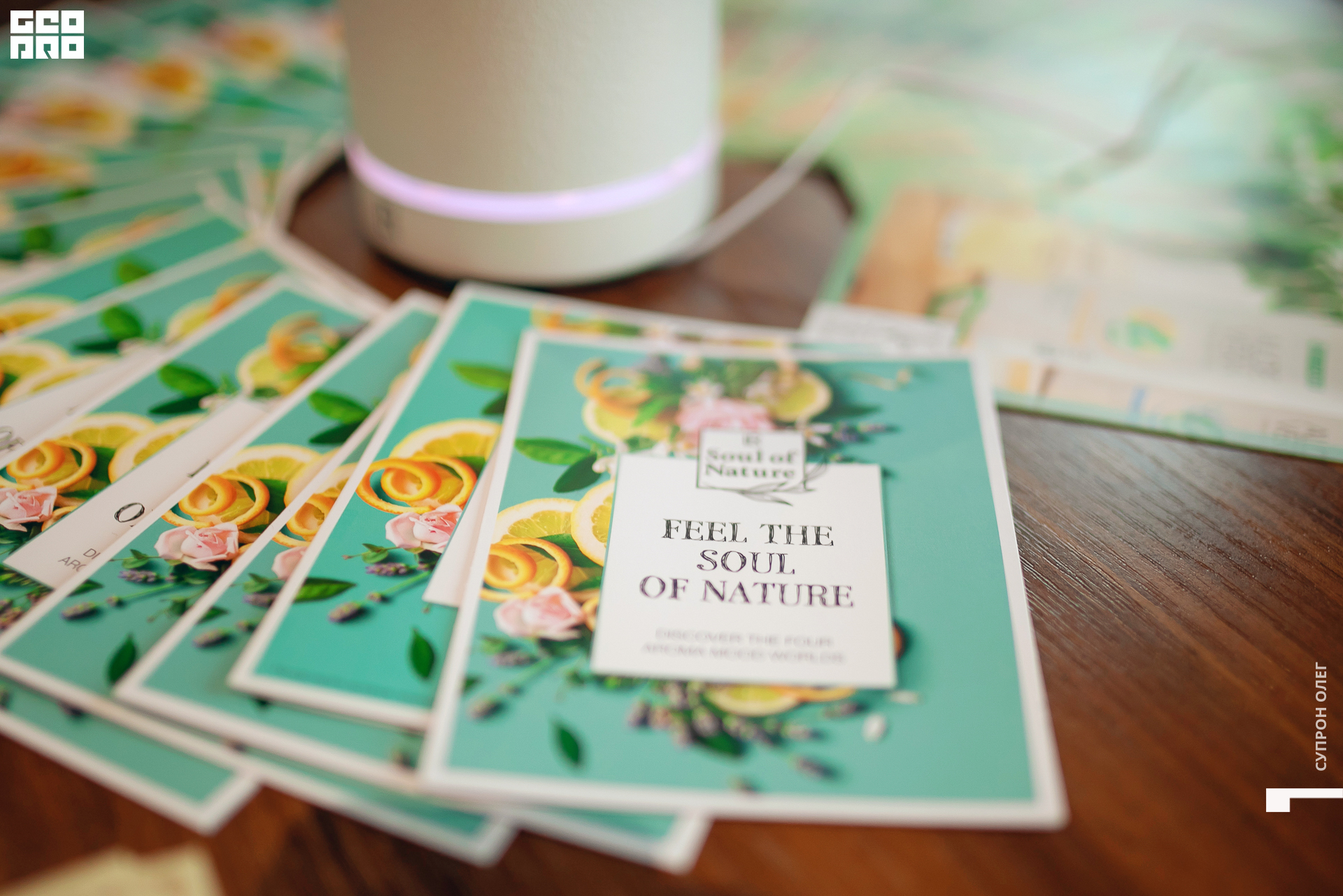 0N5A0457 копия.jpg