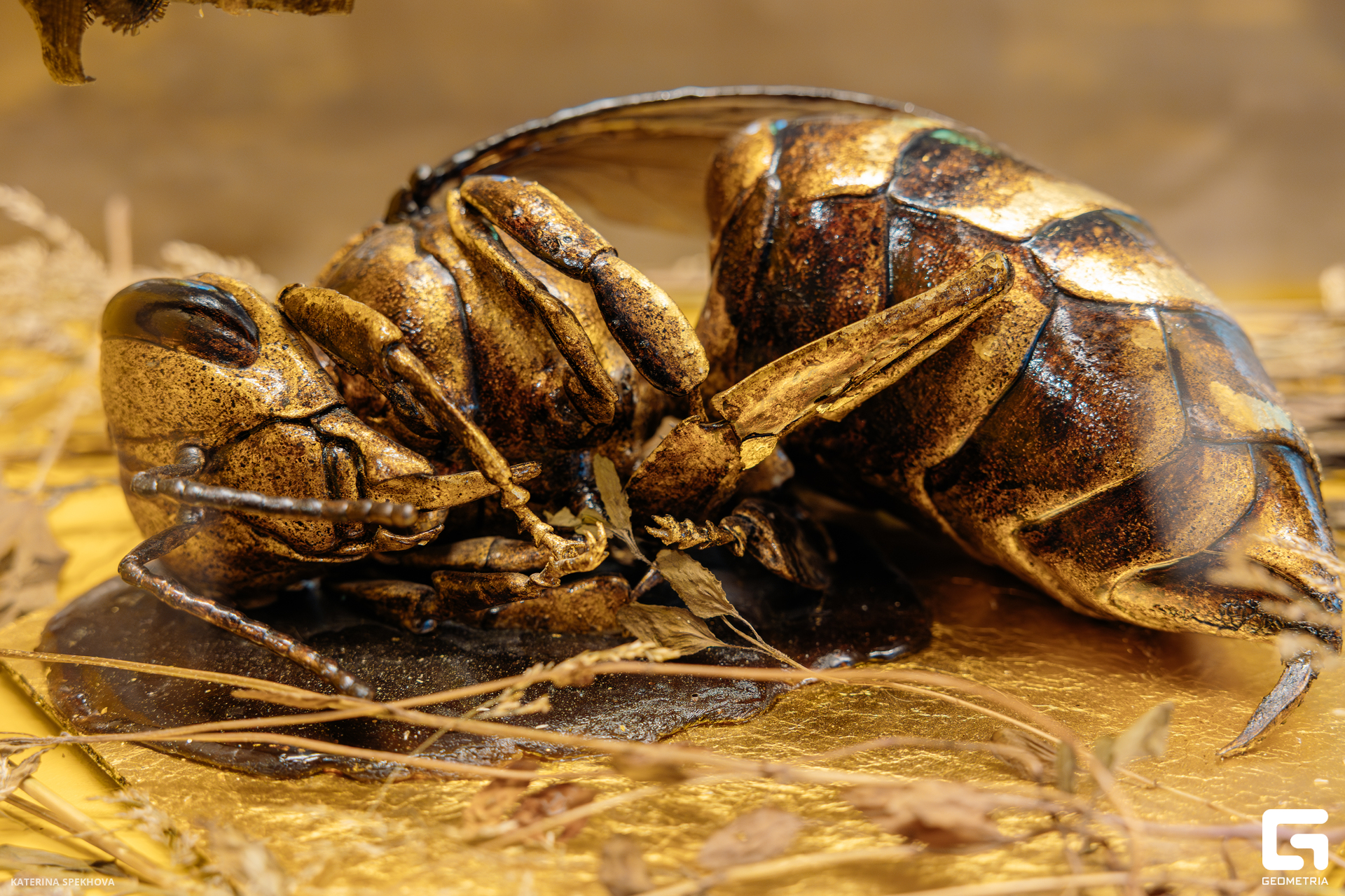 0J2A3191-Улучшено-Ум. шума.jpg