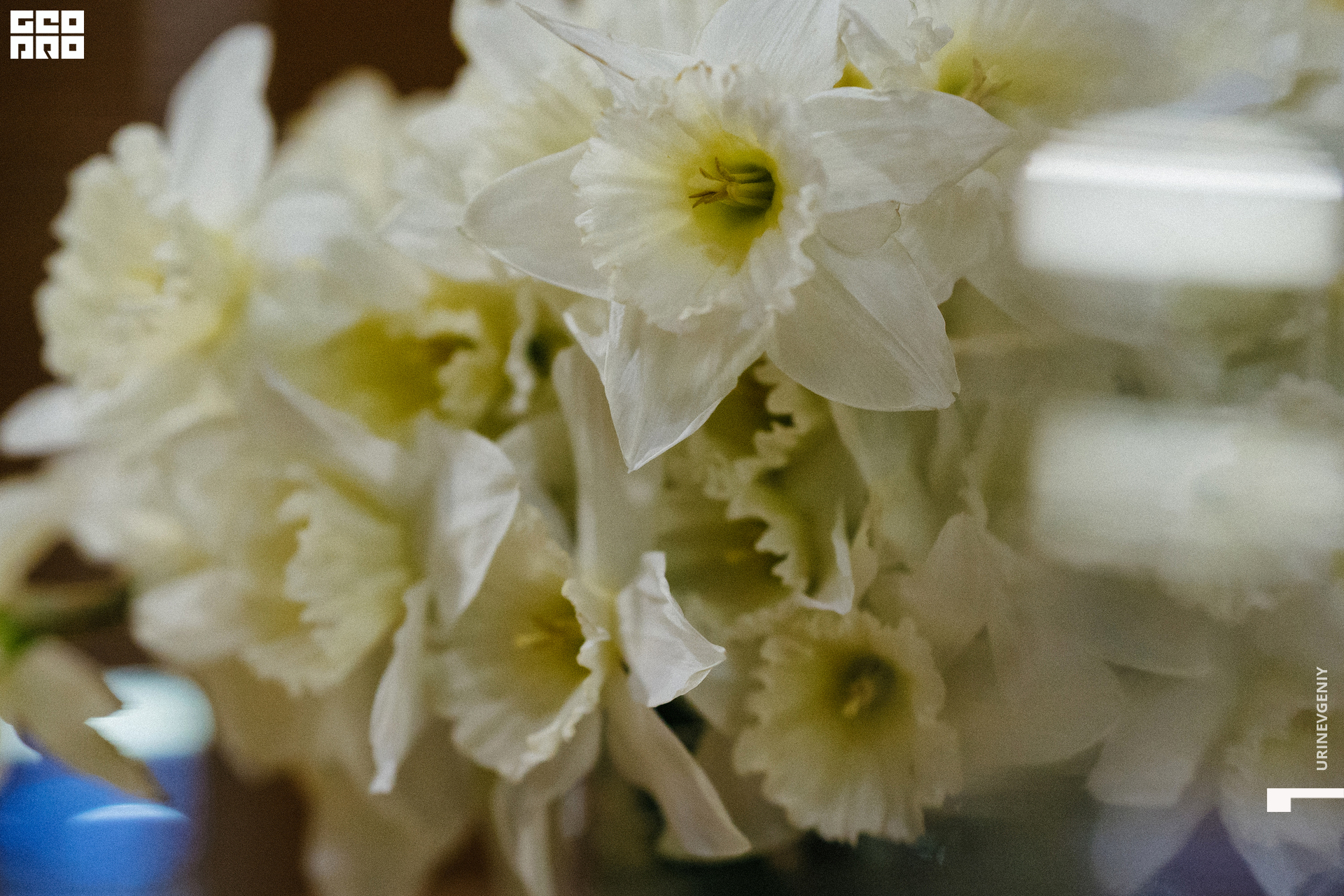 02.04.2022. Каре (0).jpg