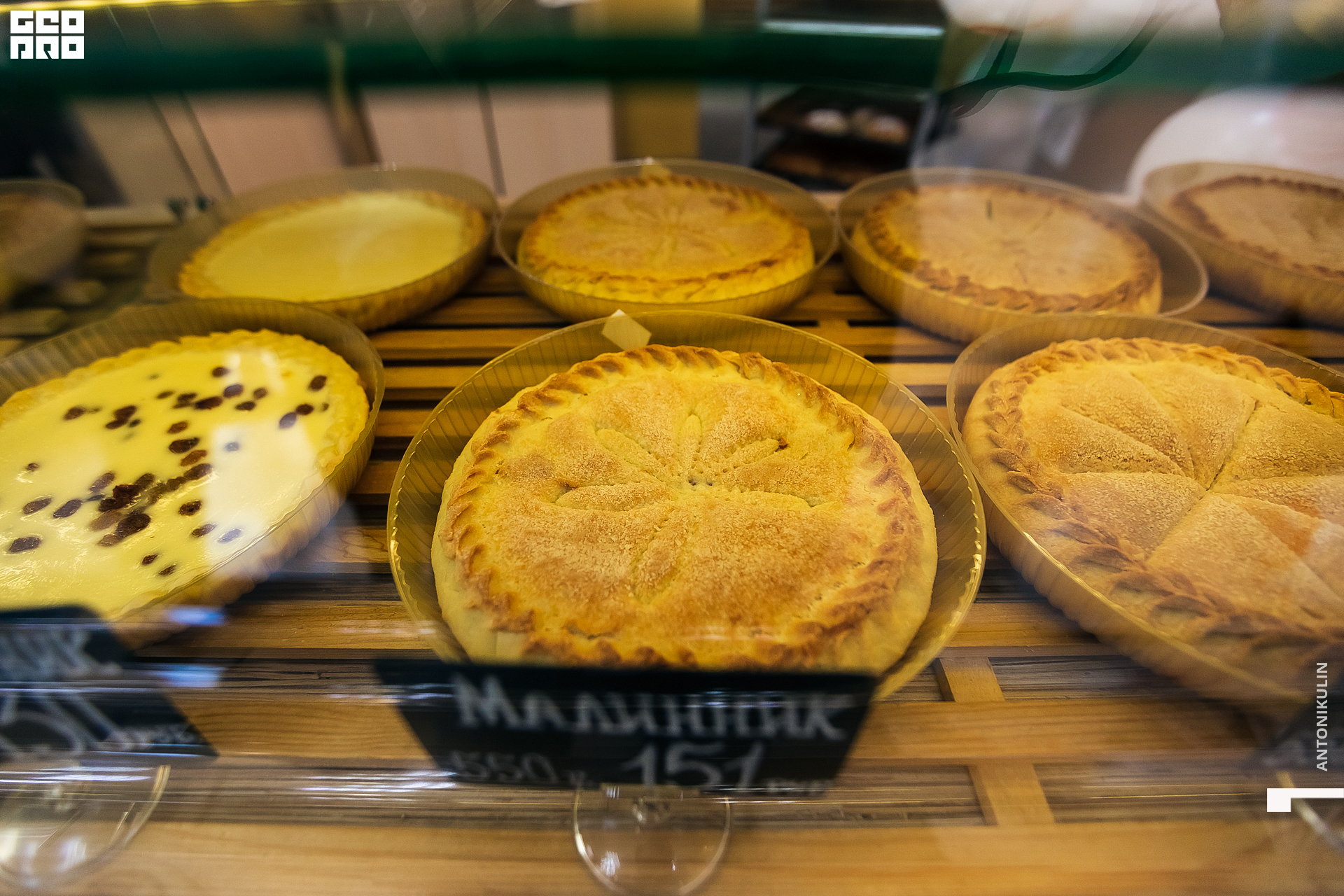 untitled shoot-9833.jpg