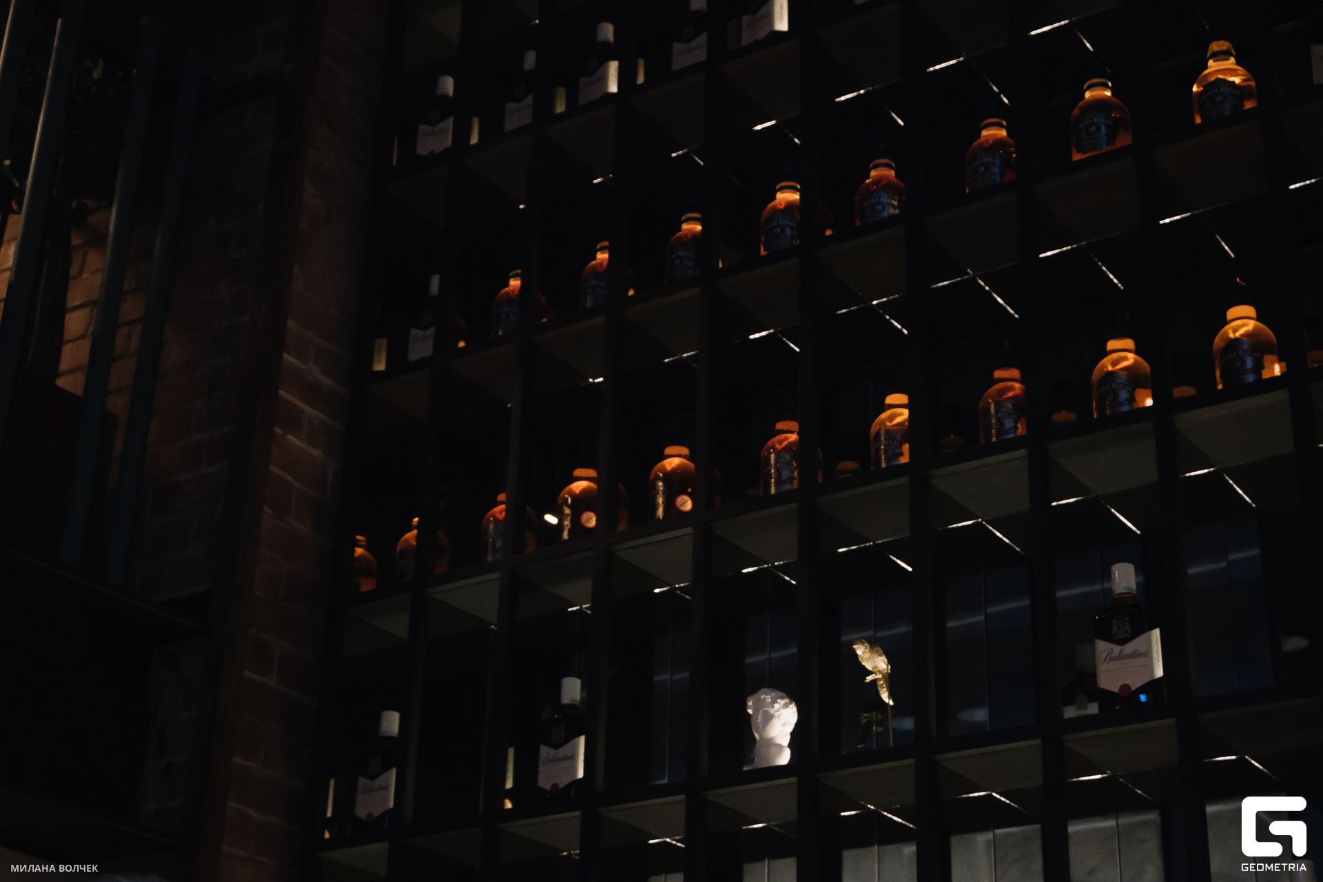 037_20231117 Волчек.jpg