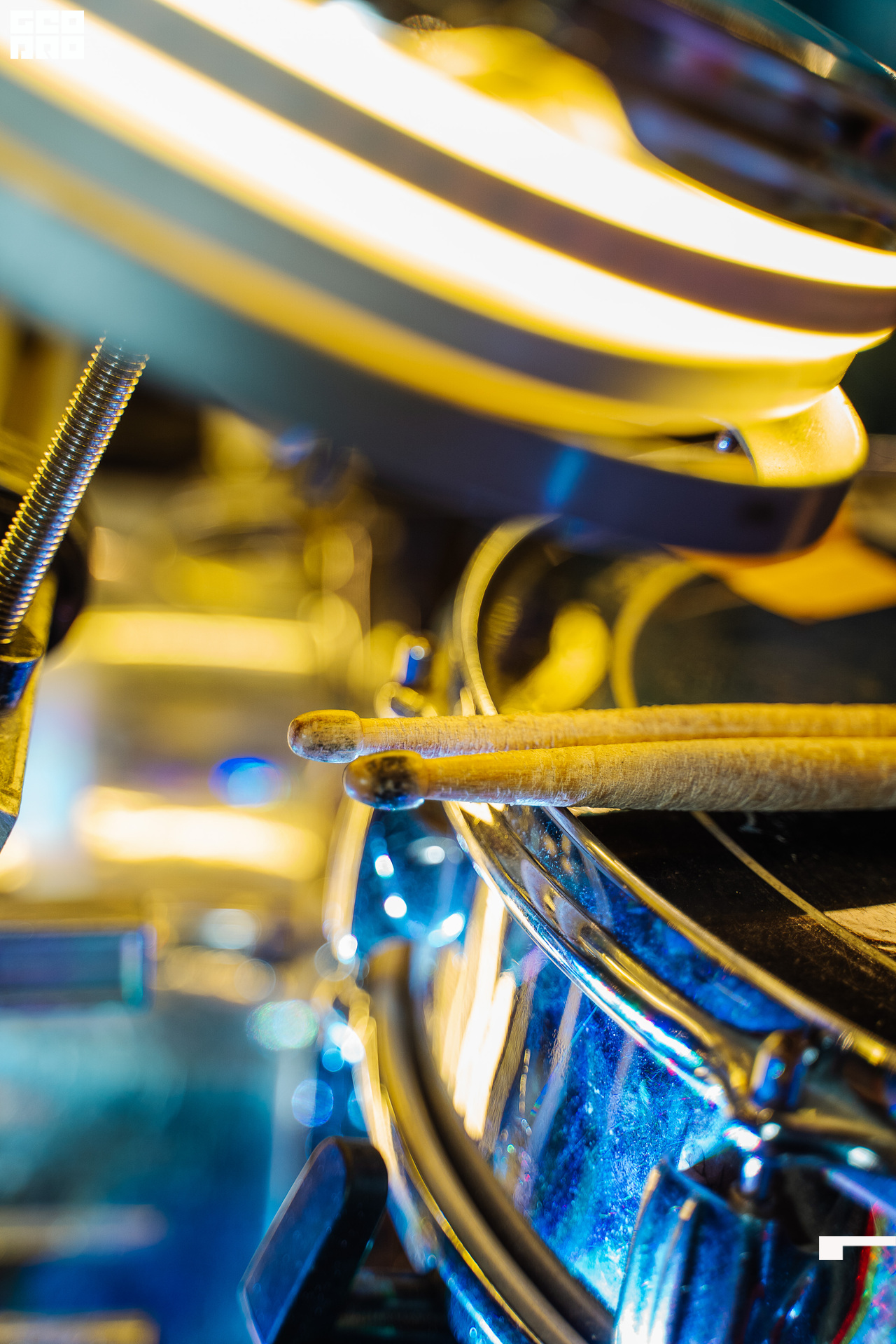 20221125 0083 _AV24058.jpg