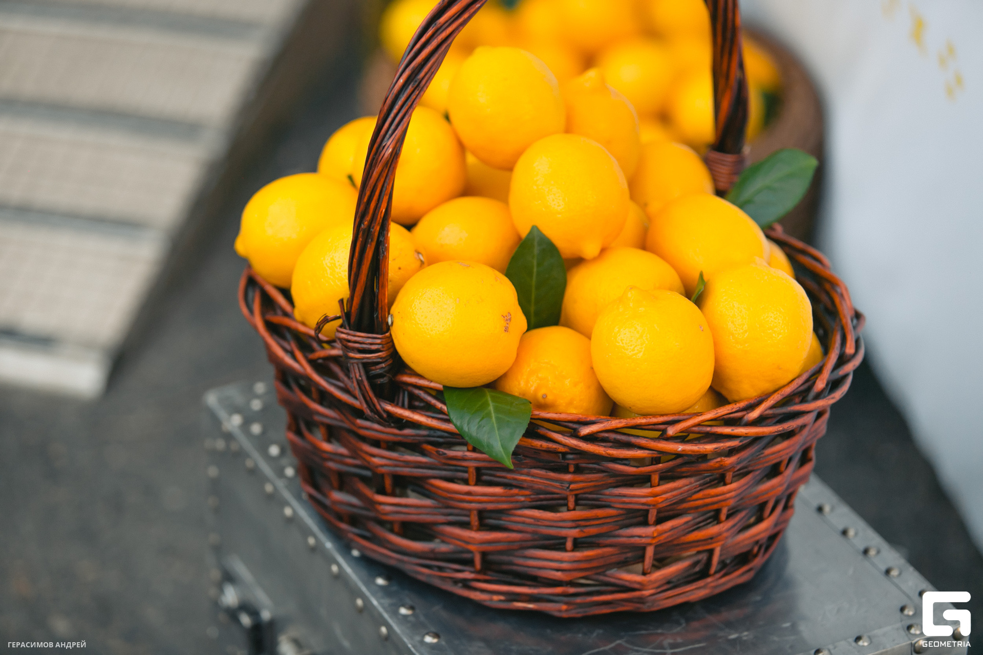 012 Фетучинни 15.08.jpg