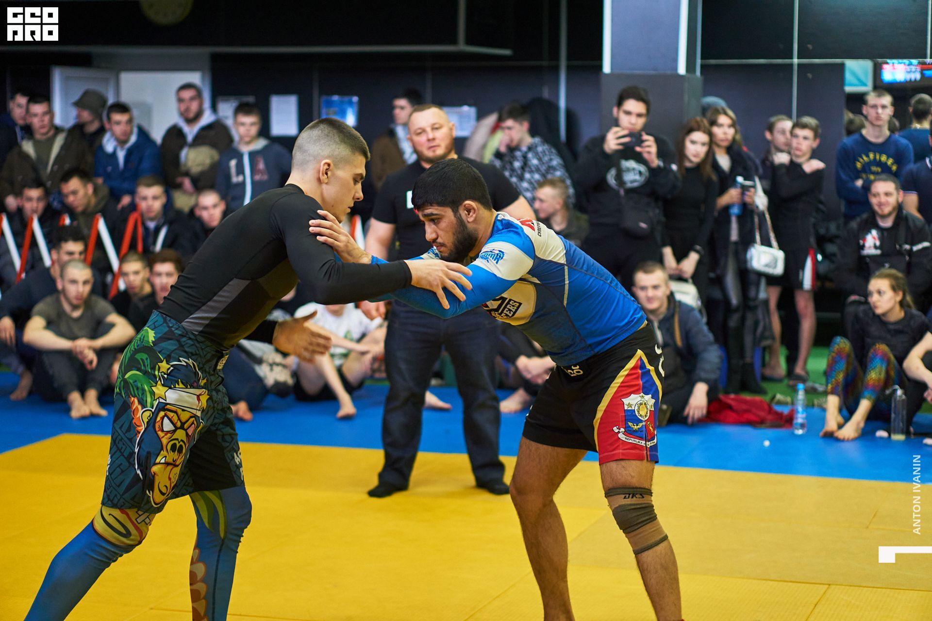 DSC09496 (Копировать).jpg