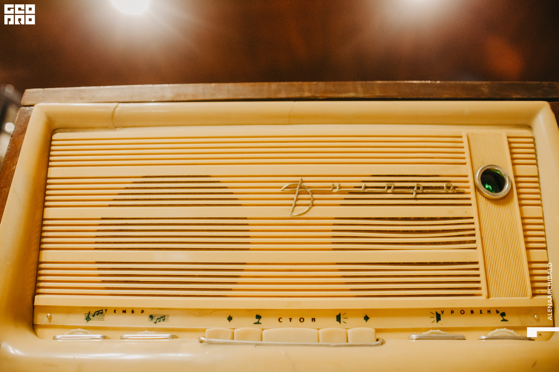 2021-06-22 18-21-51_alenaarchibald037.JPG