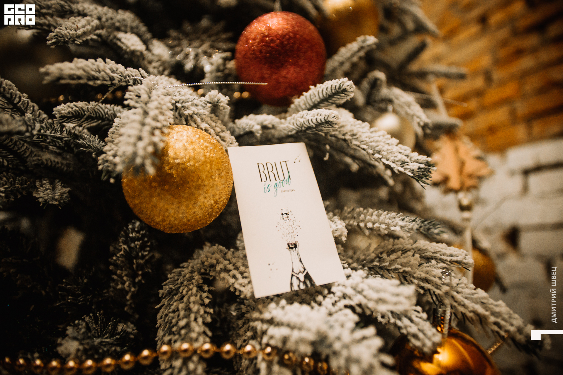 2021-12-03 20-16-21_Швец.jpg