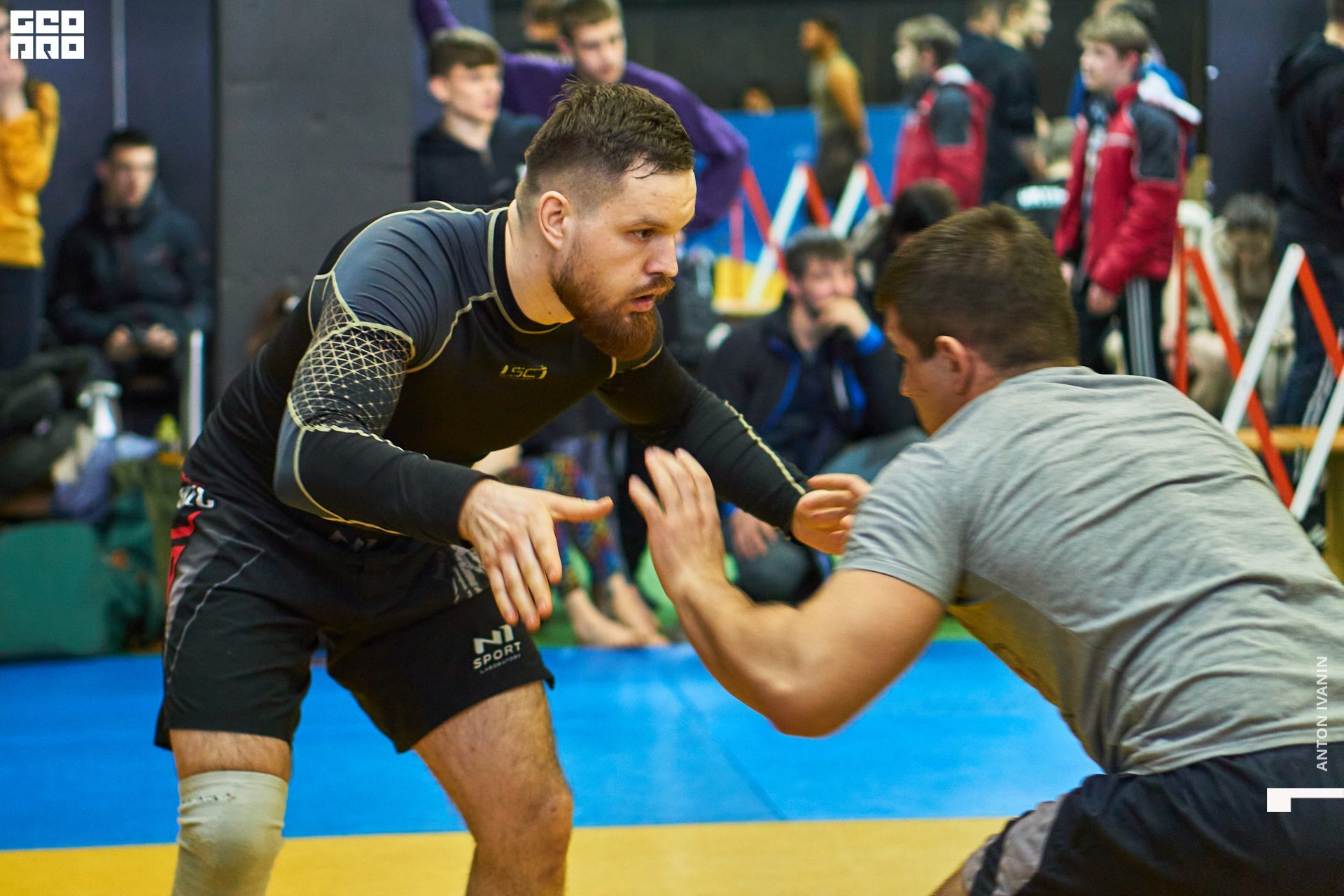 DSC00113 (Копировать).jpg