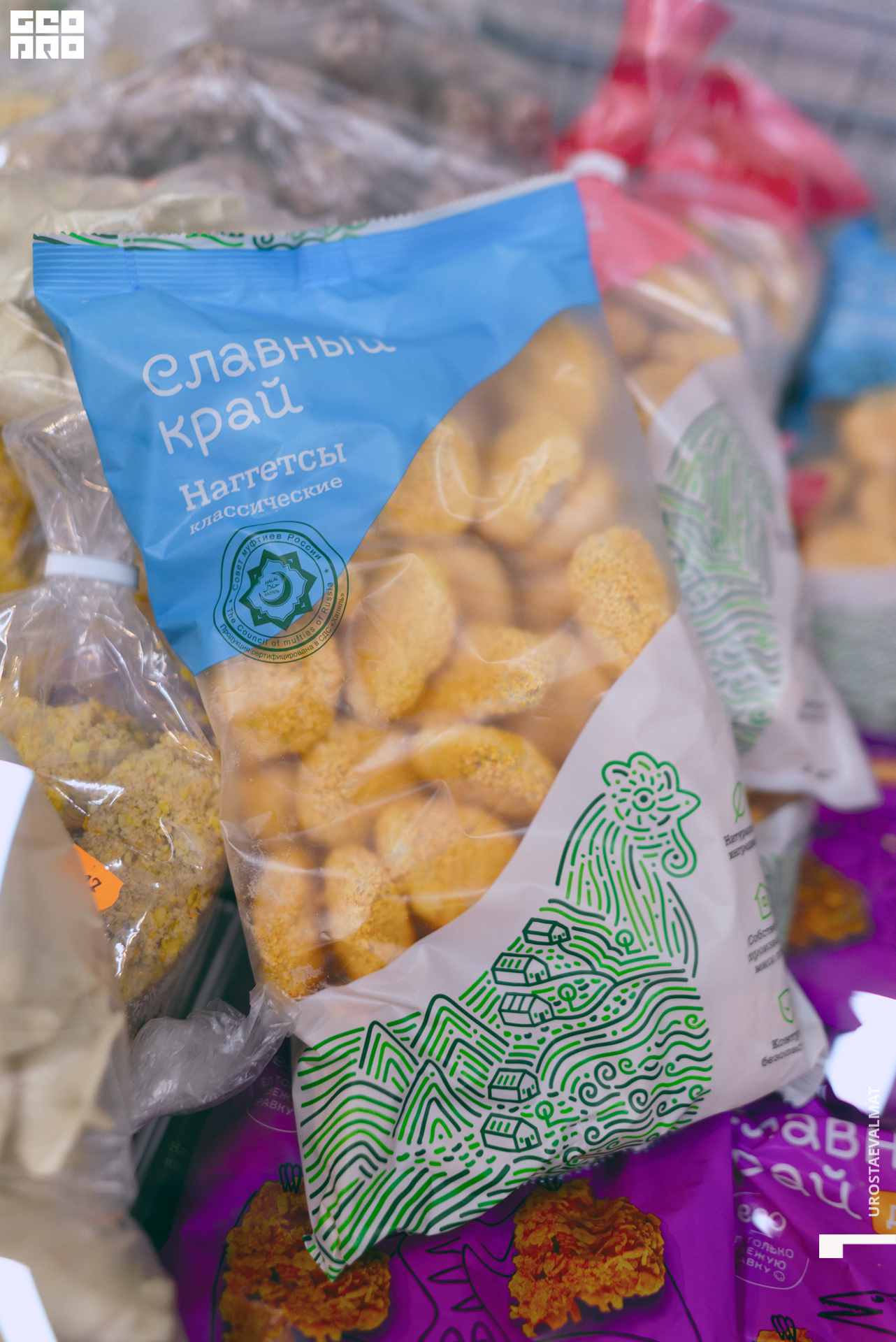 без имени-70.jpg