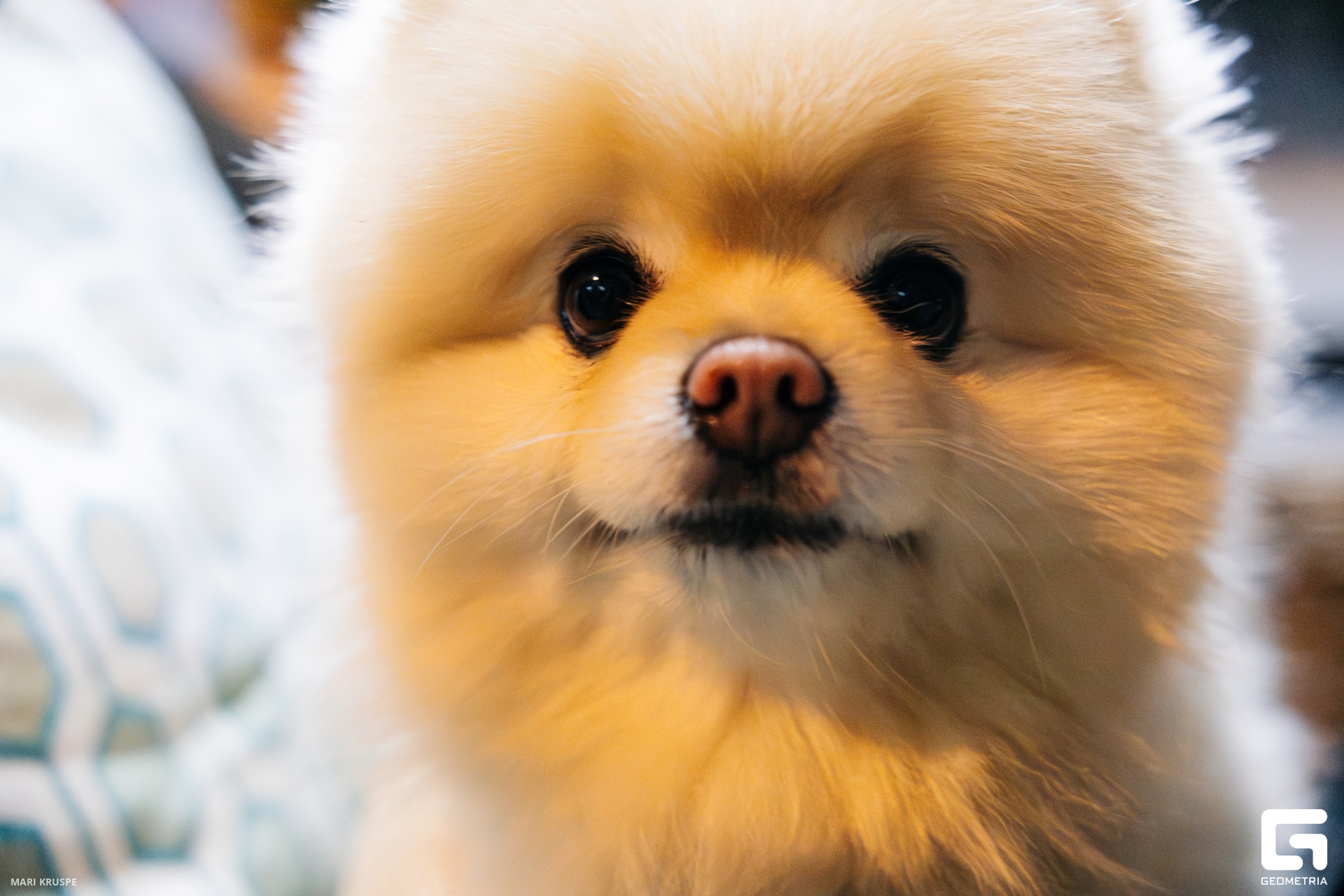 MARI9621-Улучшено-Ум. шума.jpg