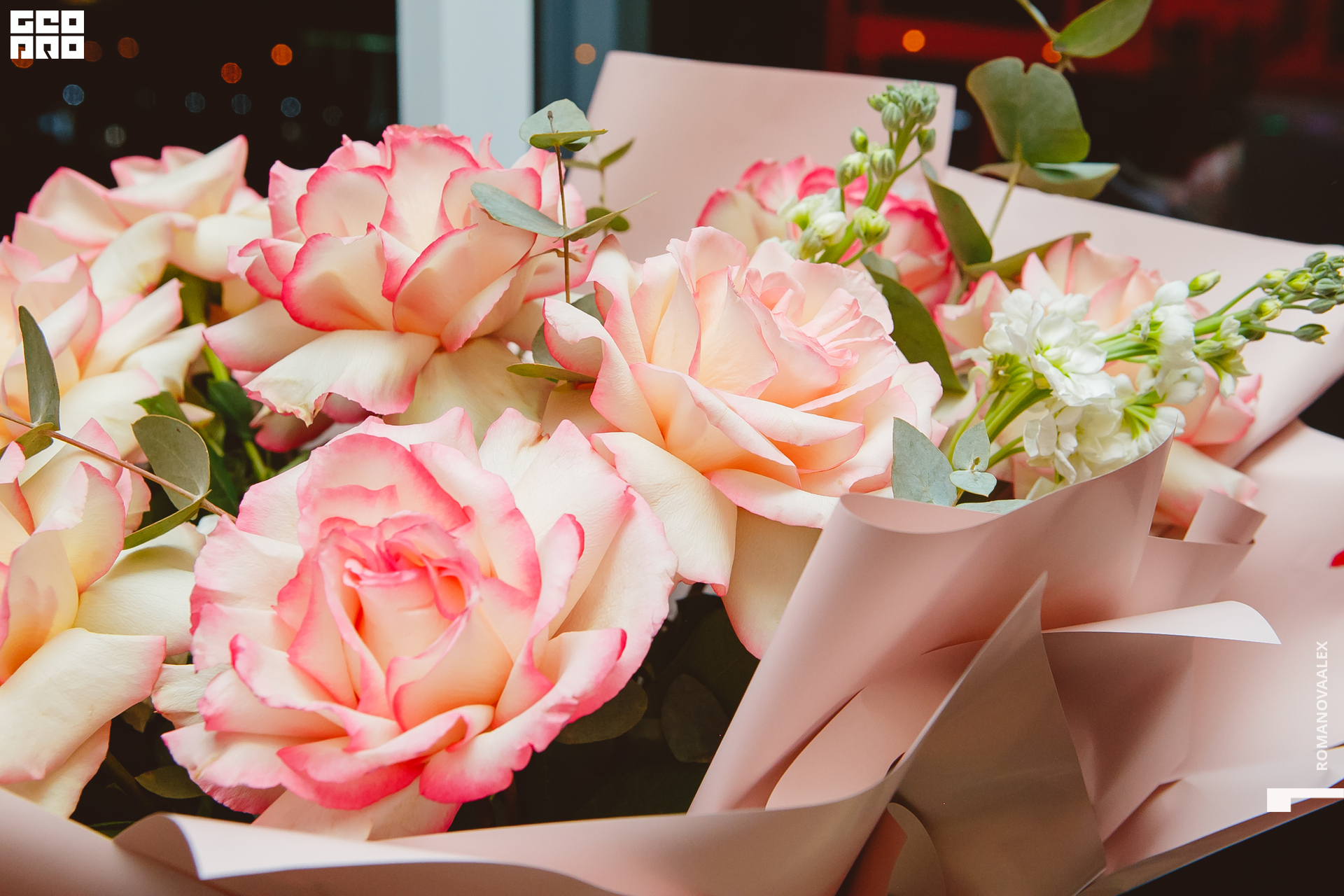 157  151022 @romanovaalex.jpg