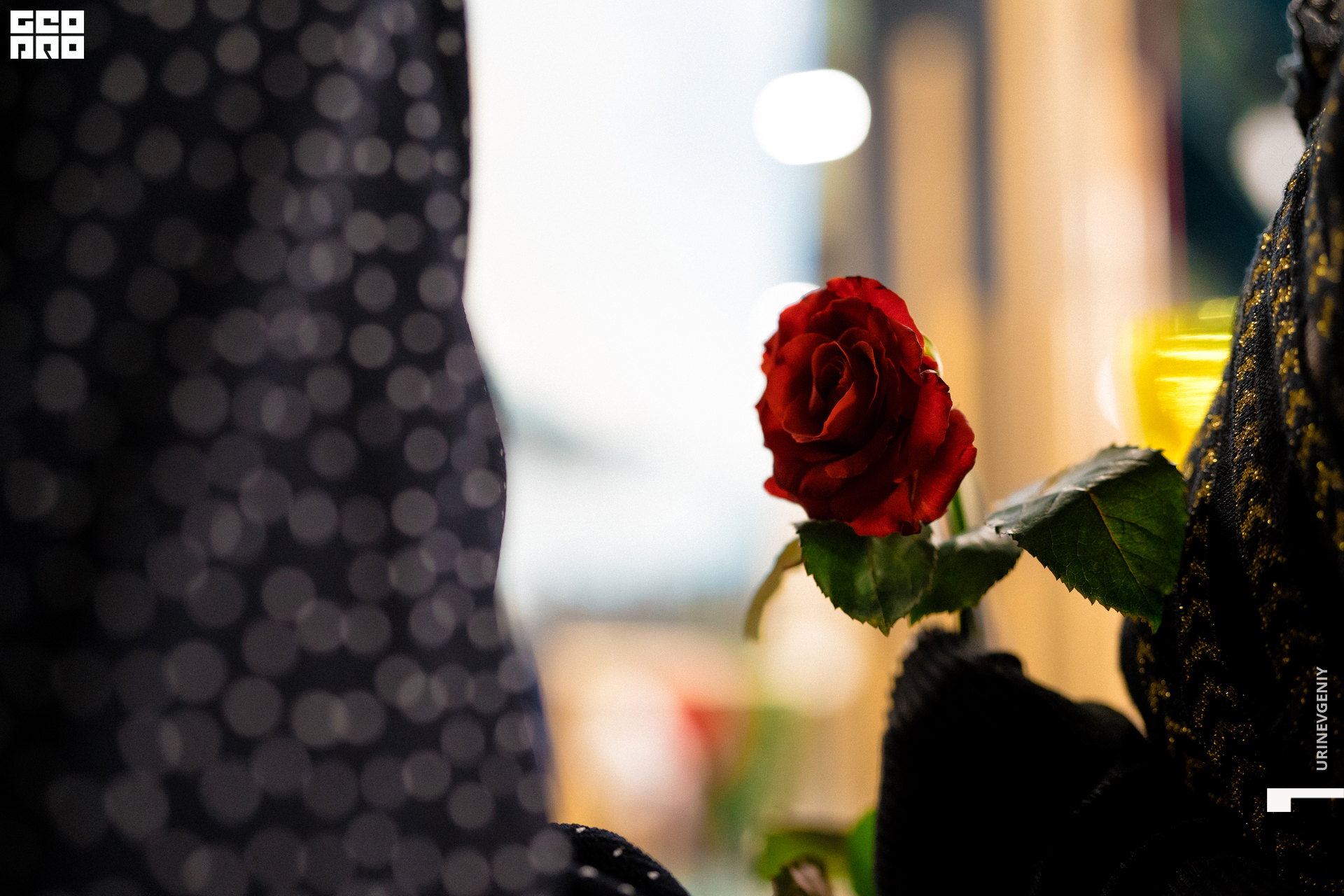 02.02.2021. Аквариум (124).jpg