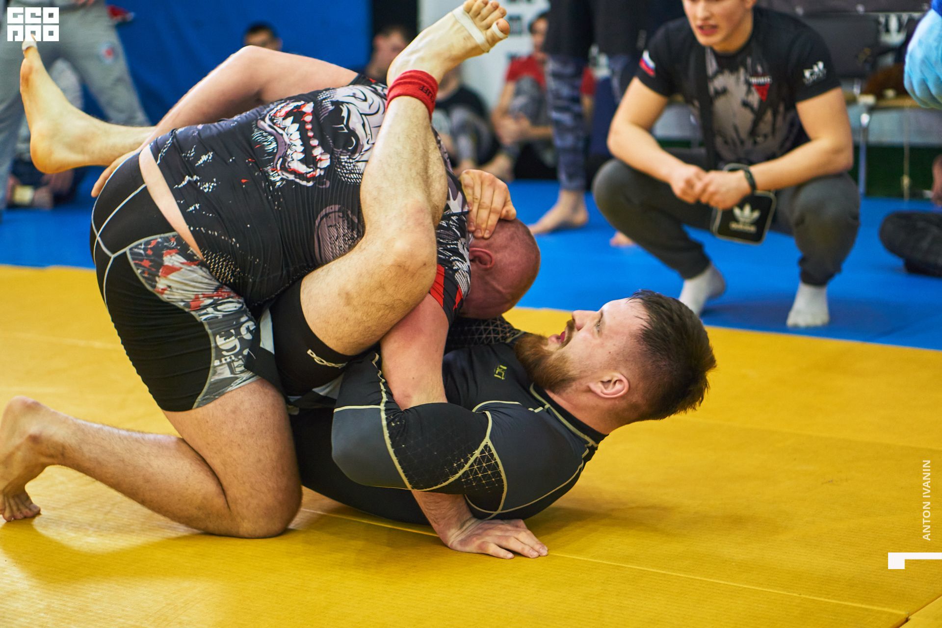 DSC09230 (Копировать).jpg