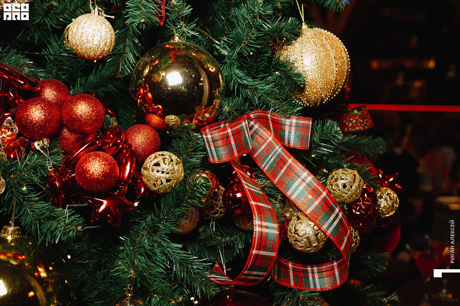 ПЯТОЕ КОЛЕСО НГ 2023 00125.jpg