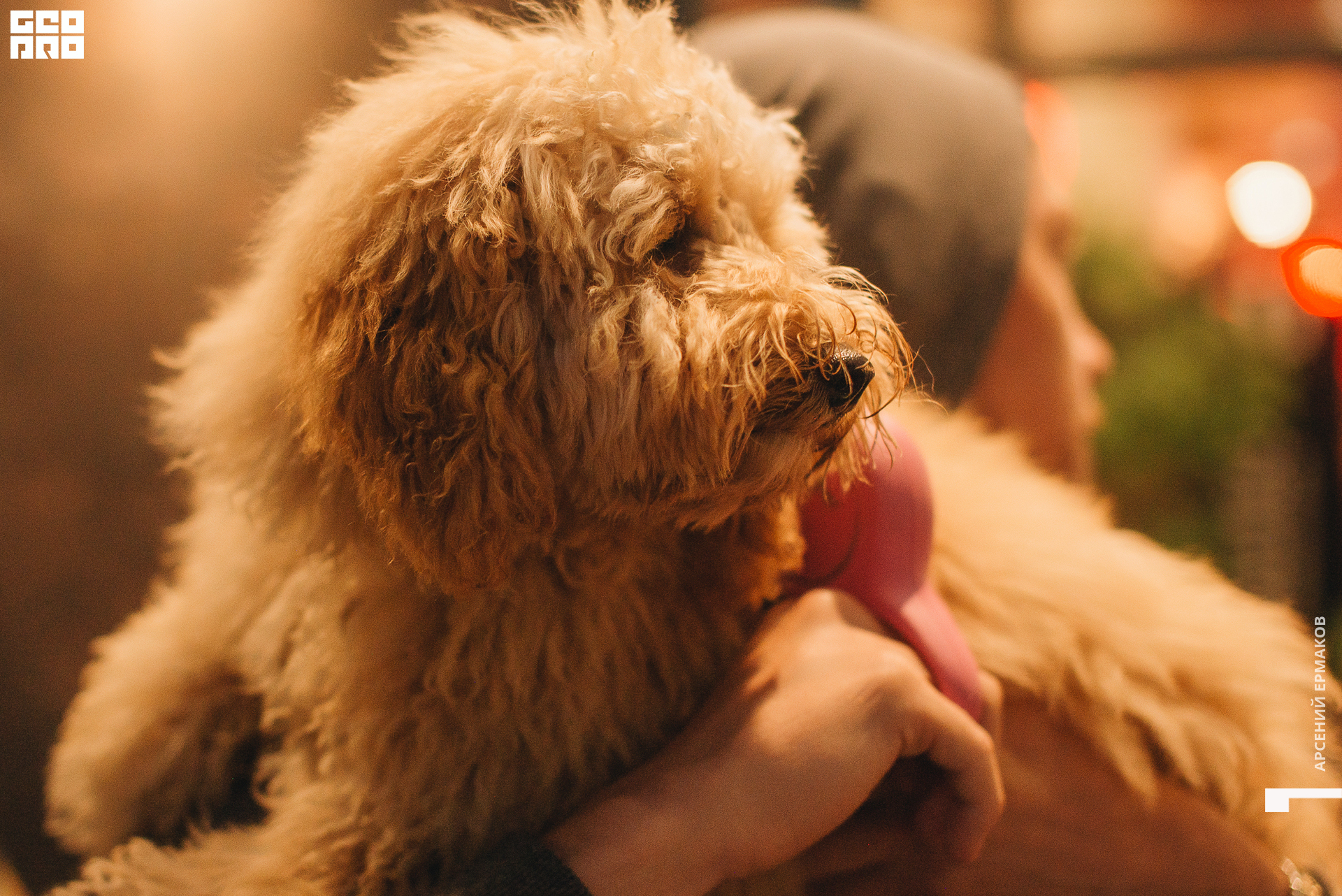 158 2022-08-21-210308_arseniyermakov.jpg