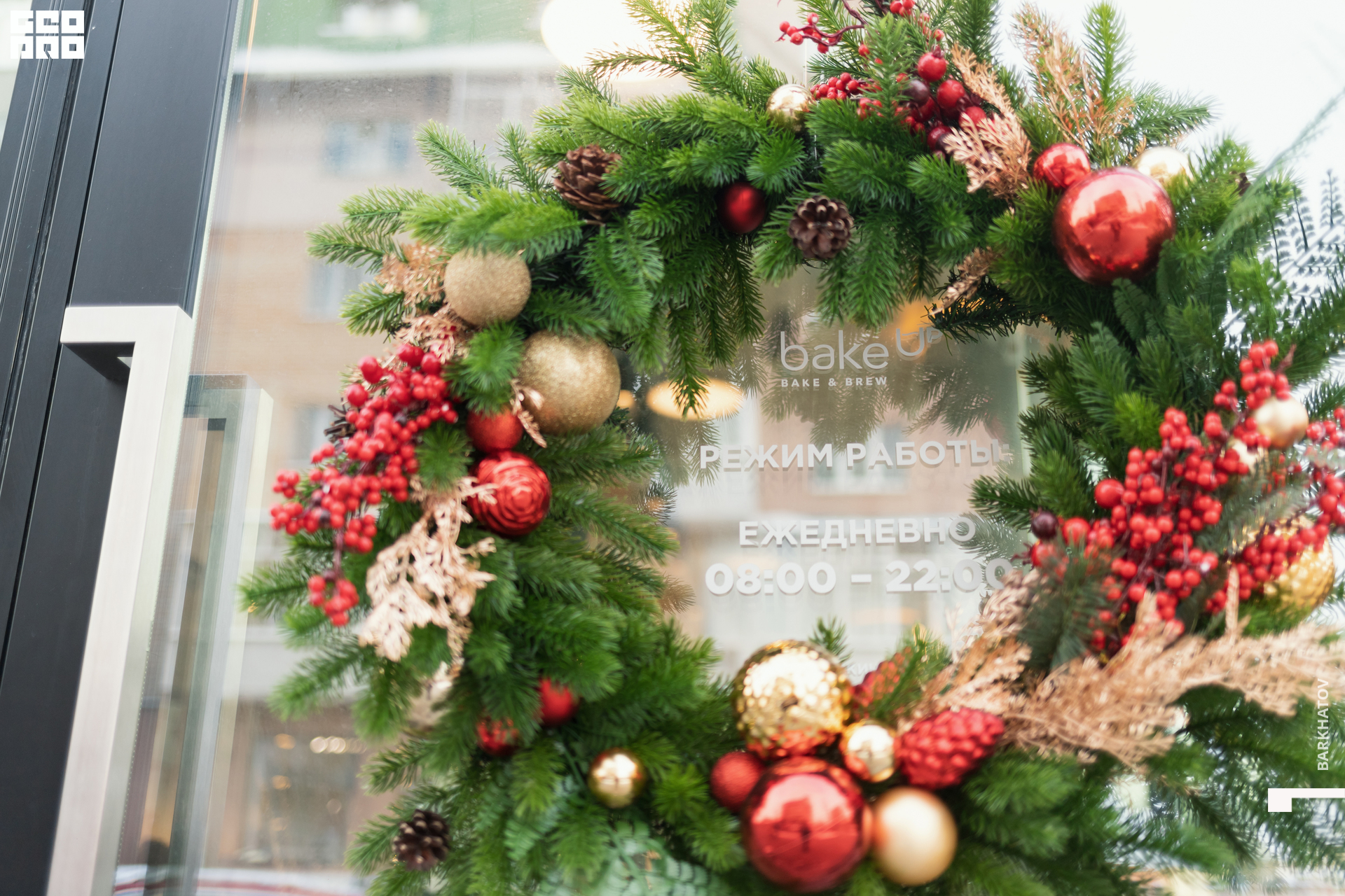 001 (2433) 25.11.22 @mibiyl.jpg