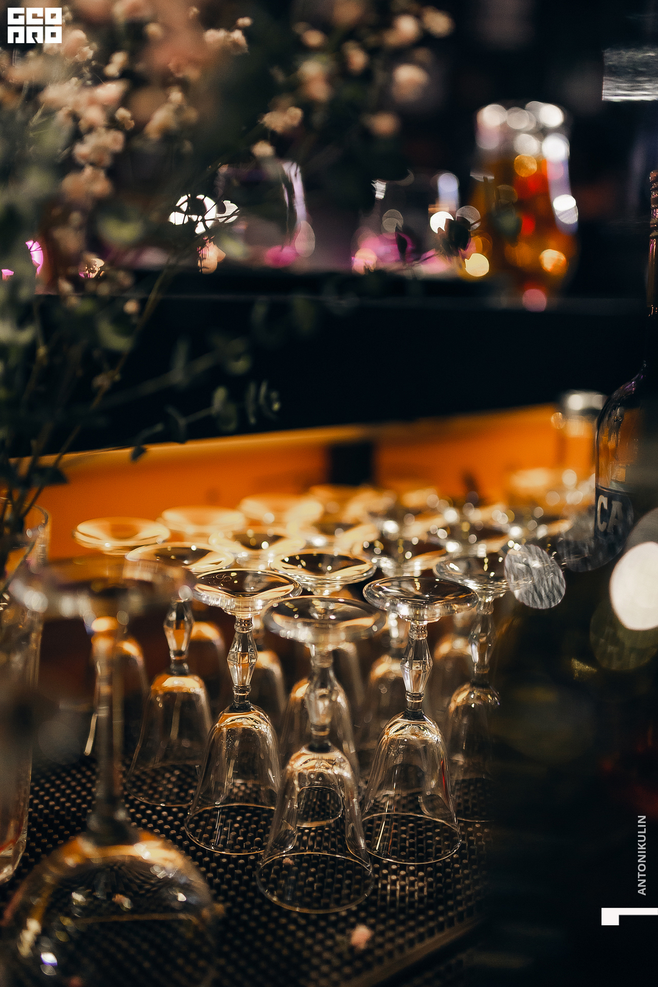 untitled shoot-7503.jpg