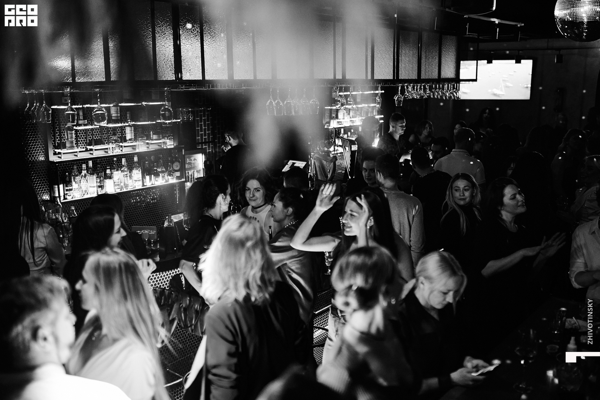 022_08-03-22_1-09 _Zhivotinsky.jpg