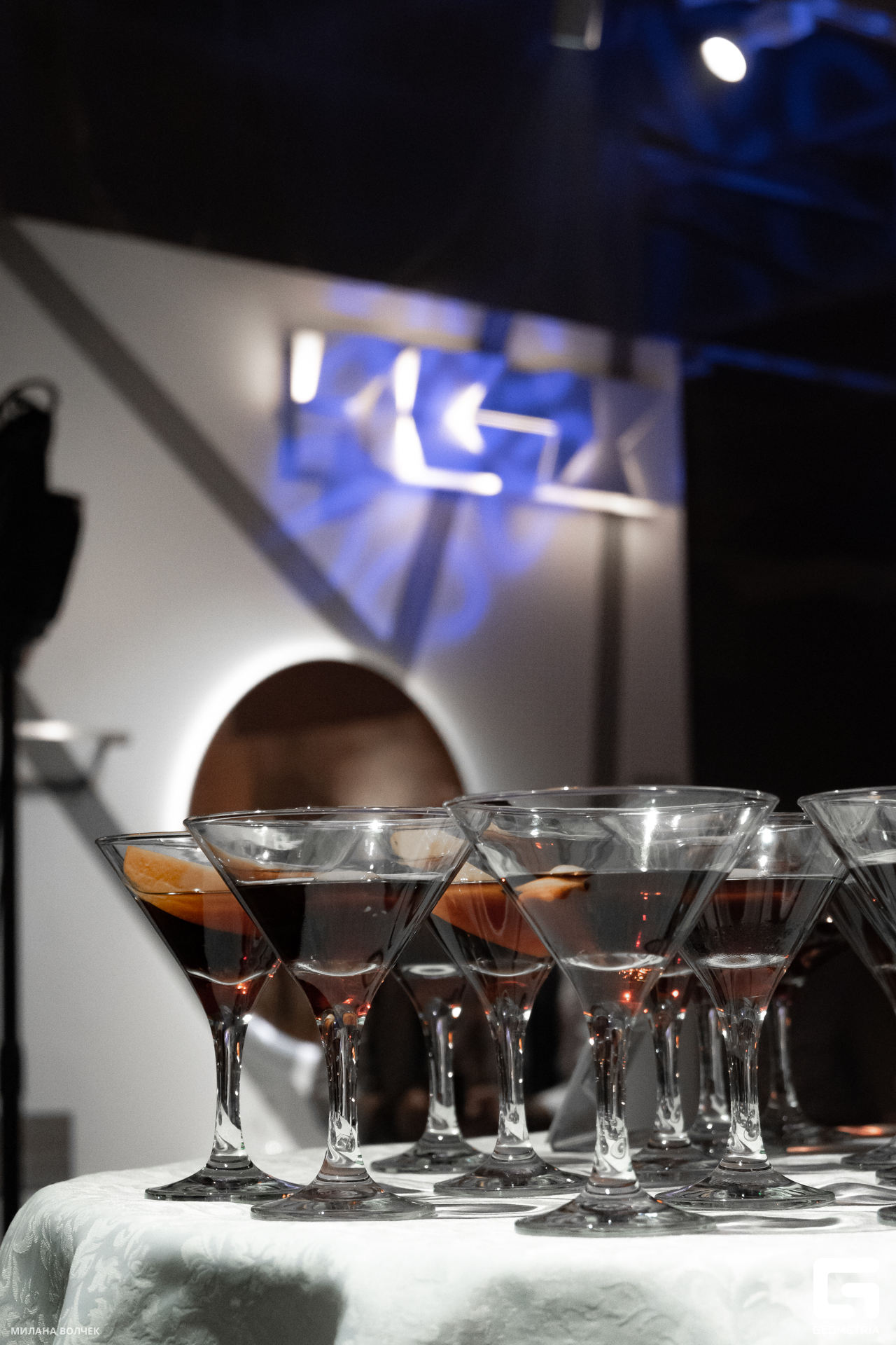 120_20231111 Волчек.jpg