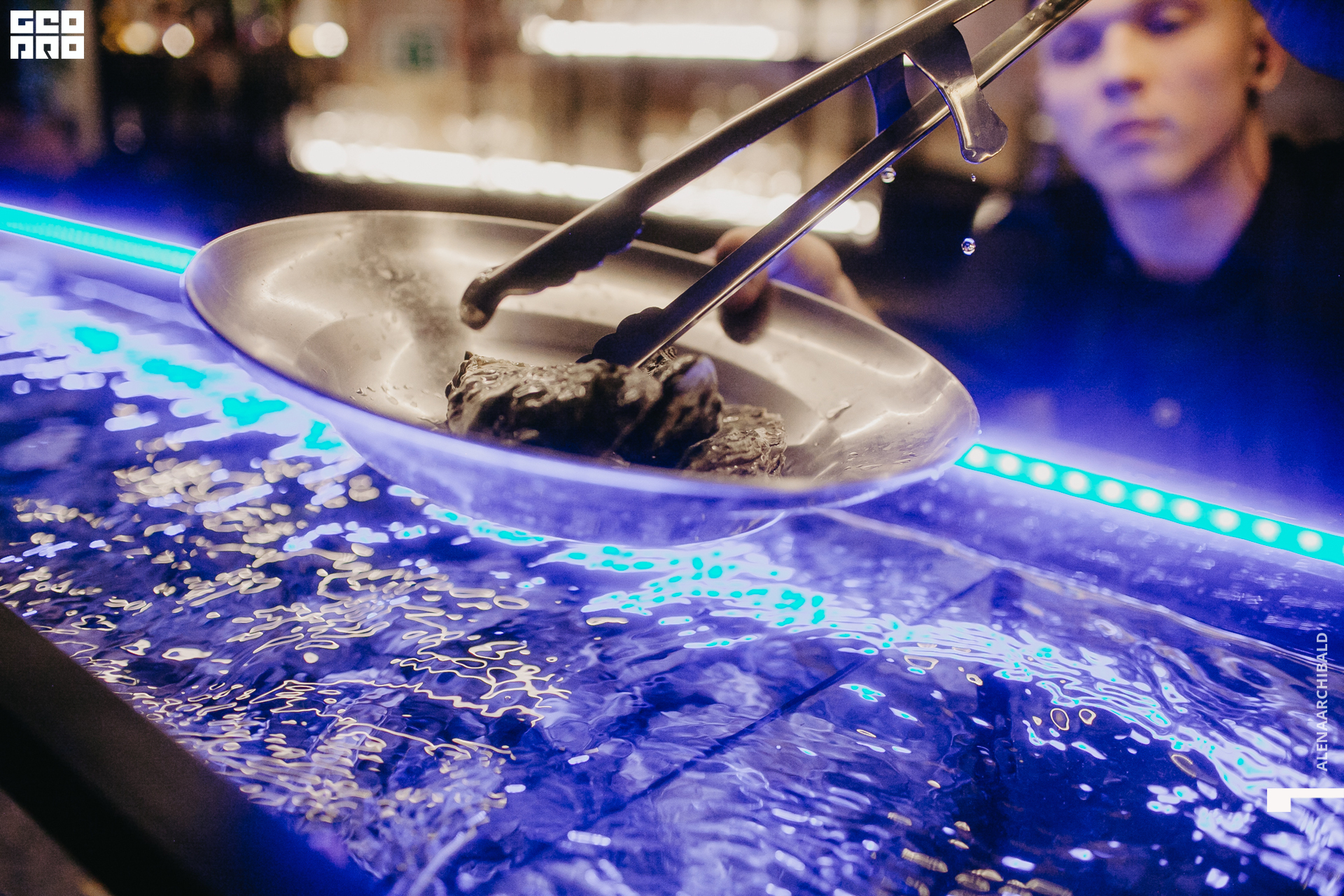 2022-11-18 20-00-27_alenaarchibald099.JPG