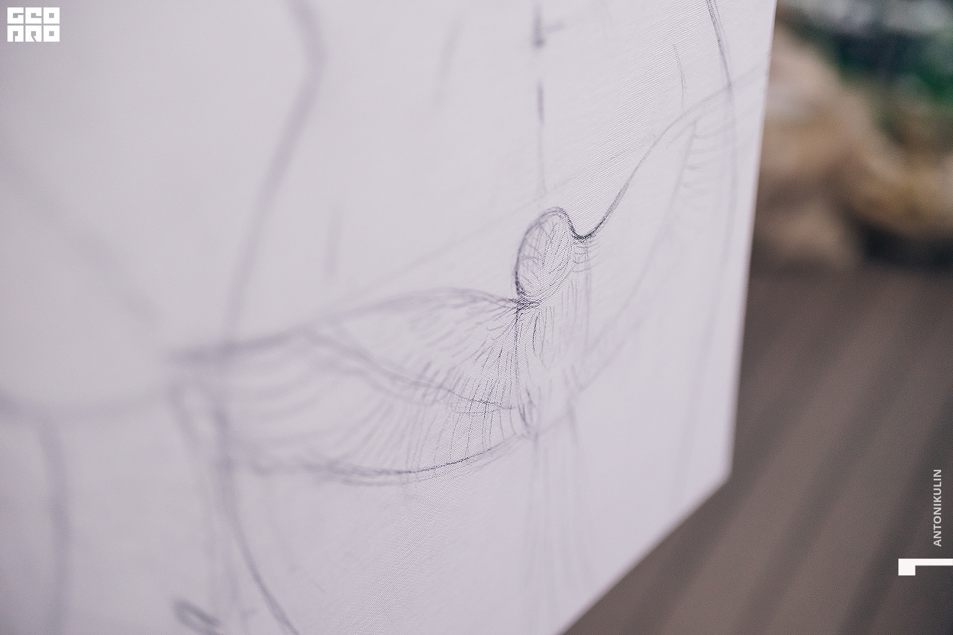 untitled shoot-8507.jpg