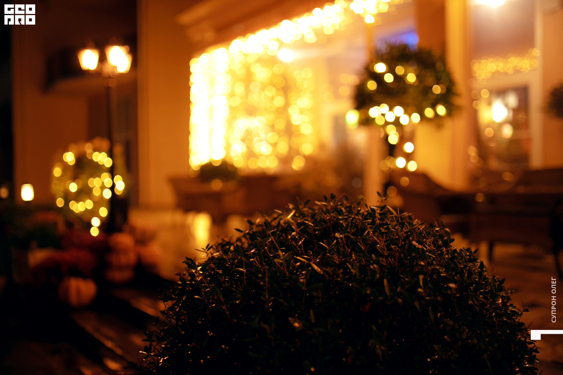 0N5A0038 копия.jpg