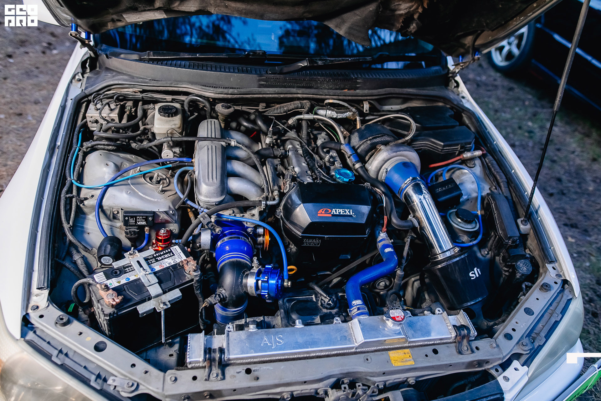 000 (32 из 621).JPG