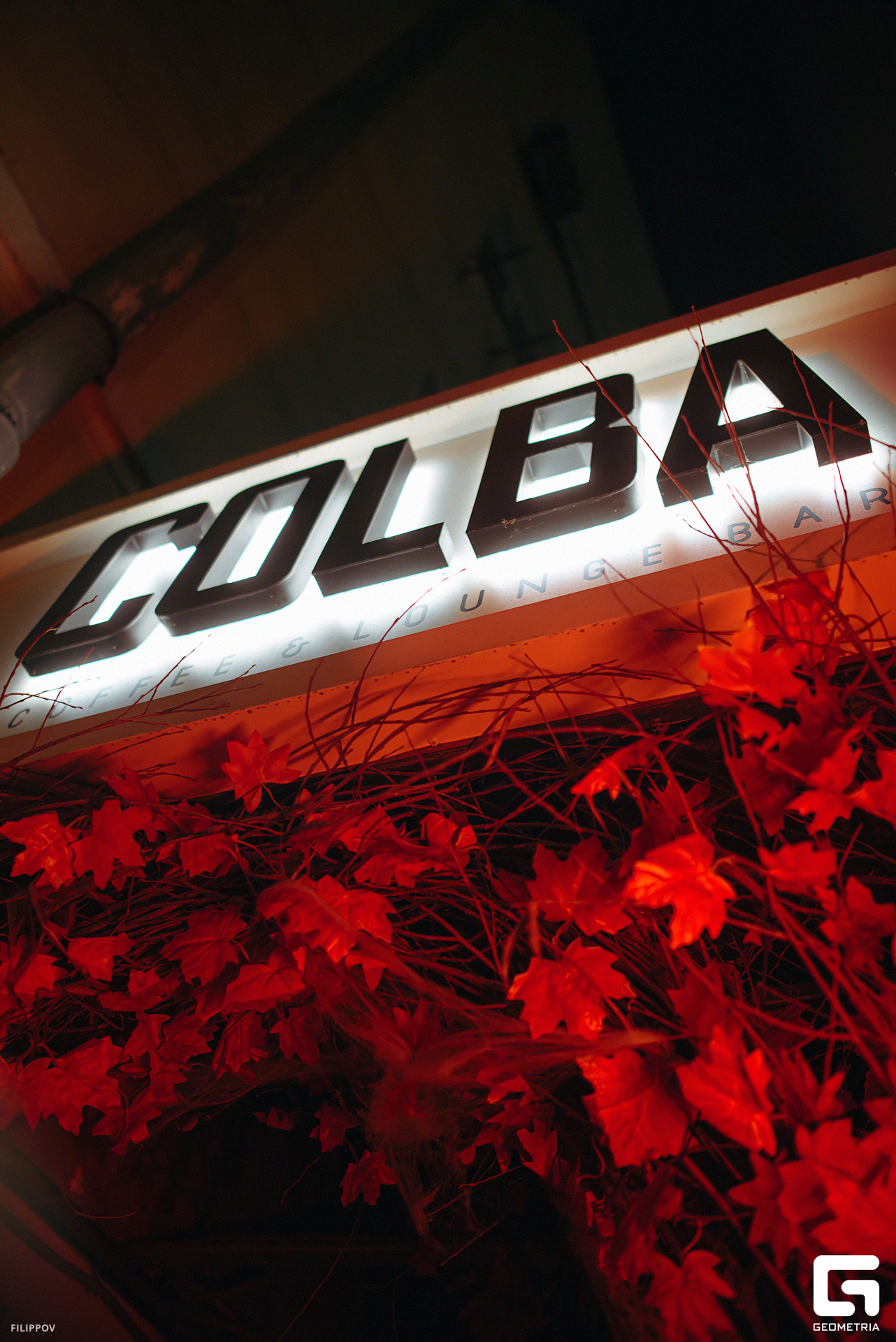 FIL_0833-Улучшено-Ум. шума.jpg