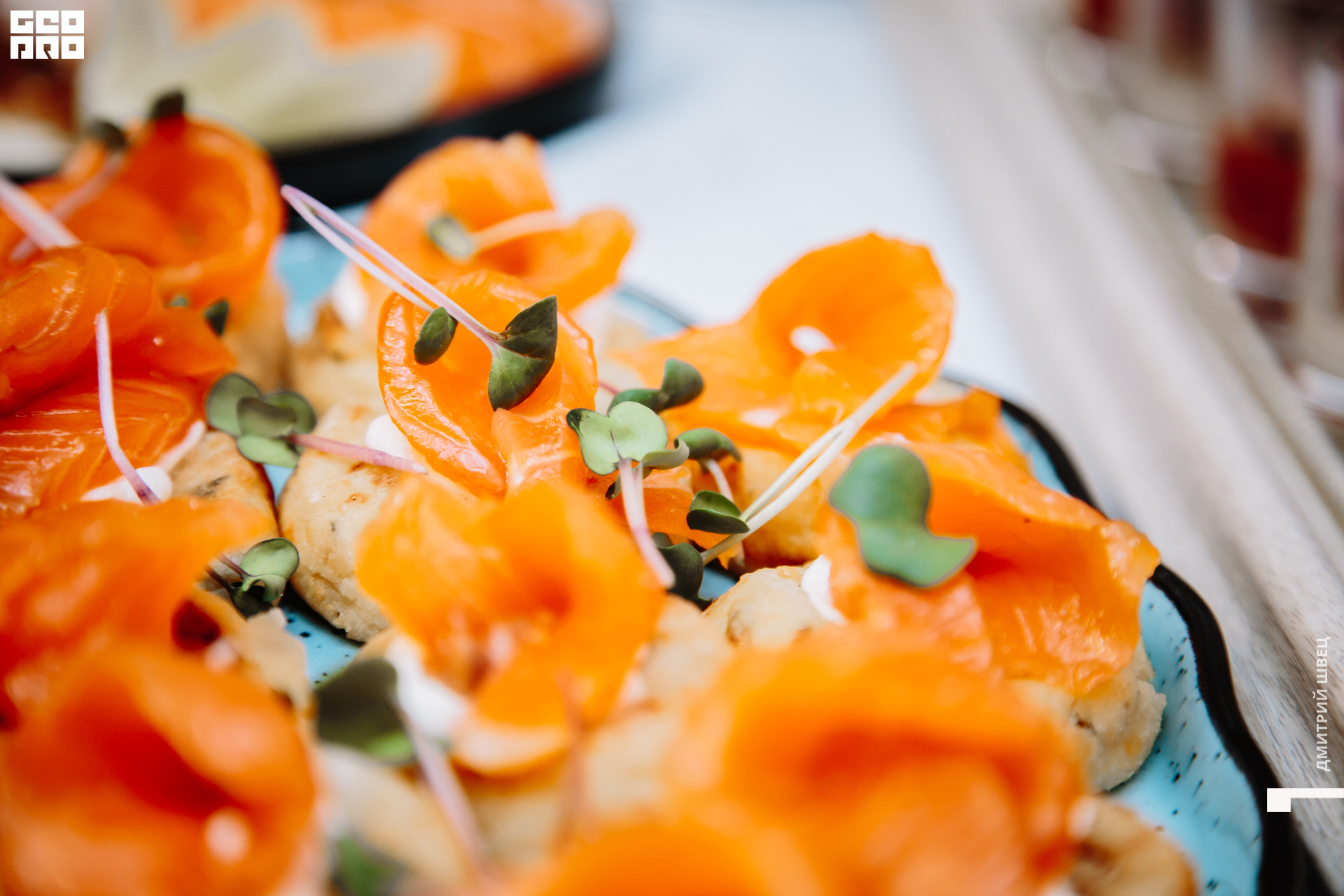 2021-11-25 18-21-15_Швец.jpg