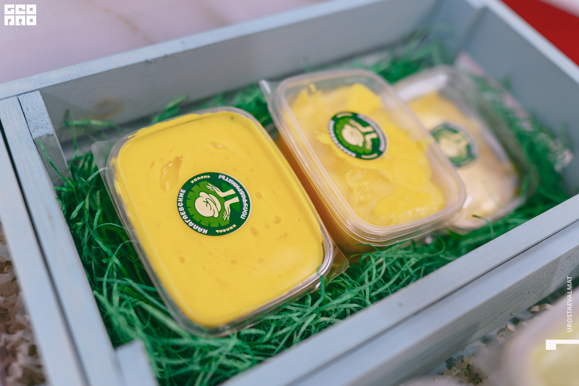 без имени-16.jpg