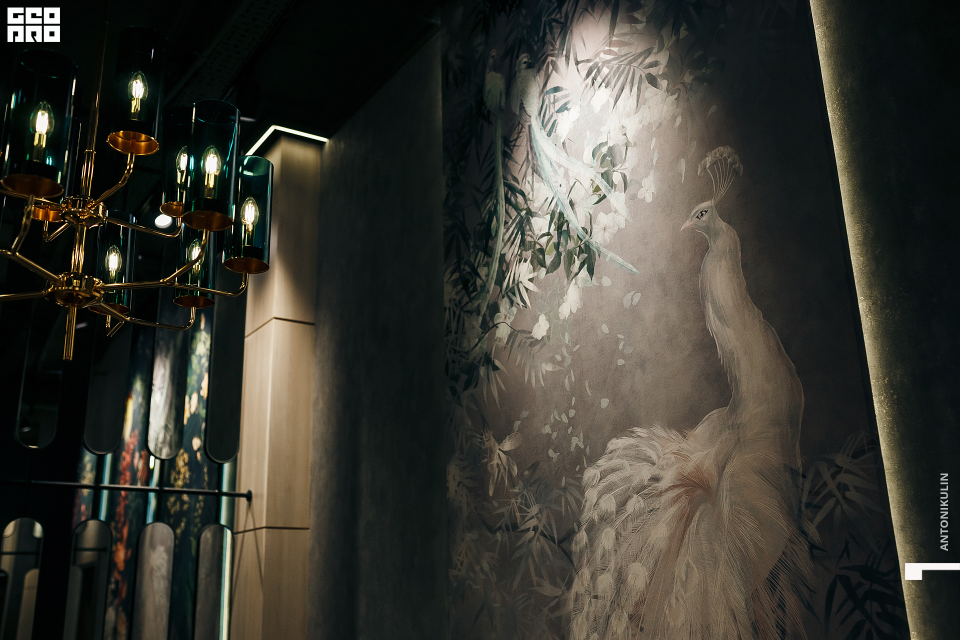 untitled shoot-6390.jpg