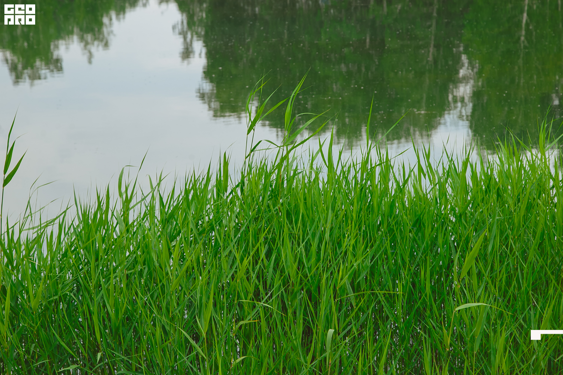 178  06192022  233342 .jpg