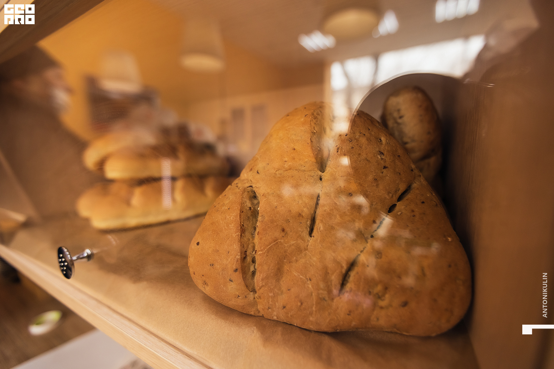 untitled shoot-5485.jpg