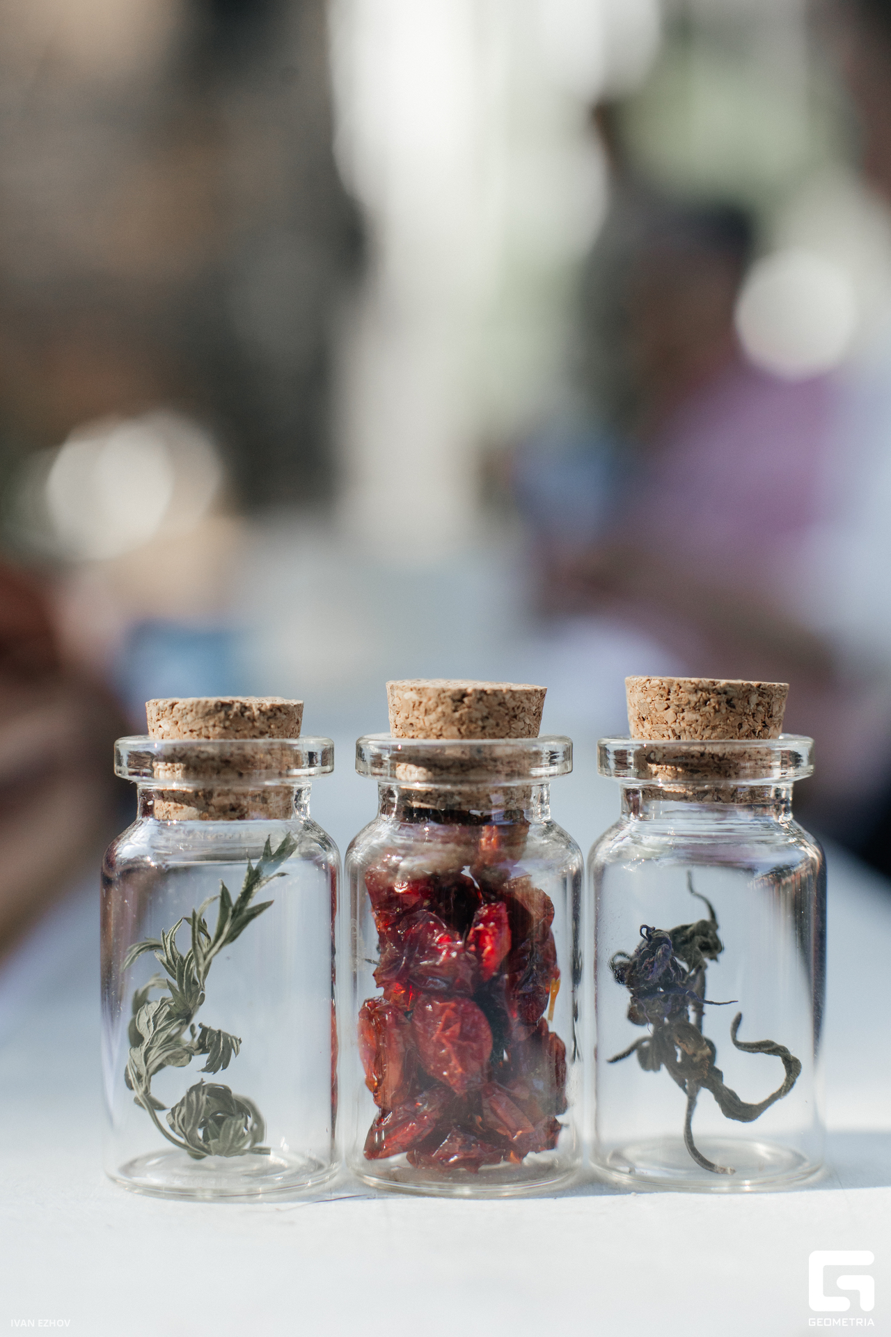 2023.07.22 Салют-79.jpg